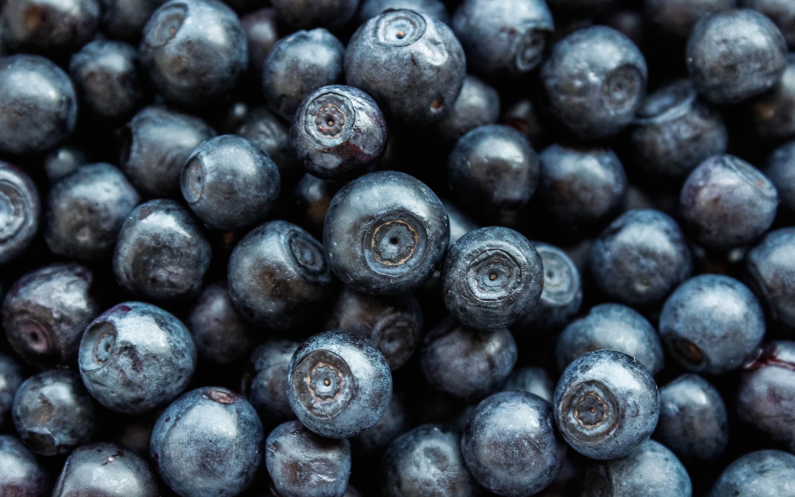 Ягоды черники крупным планом 