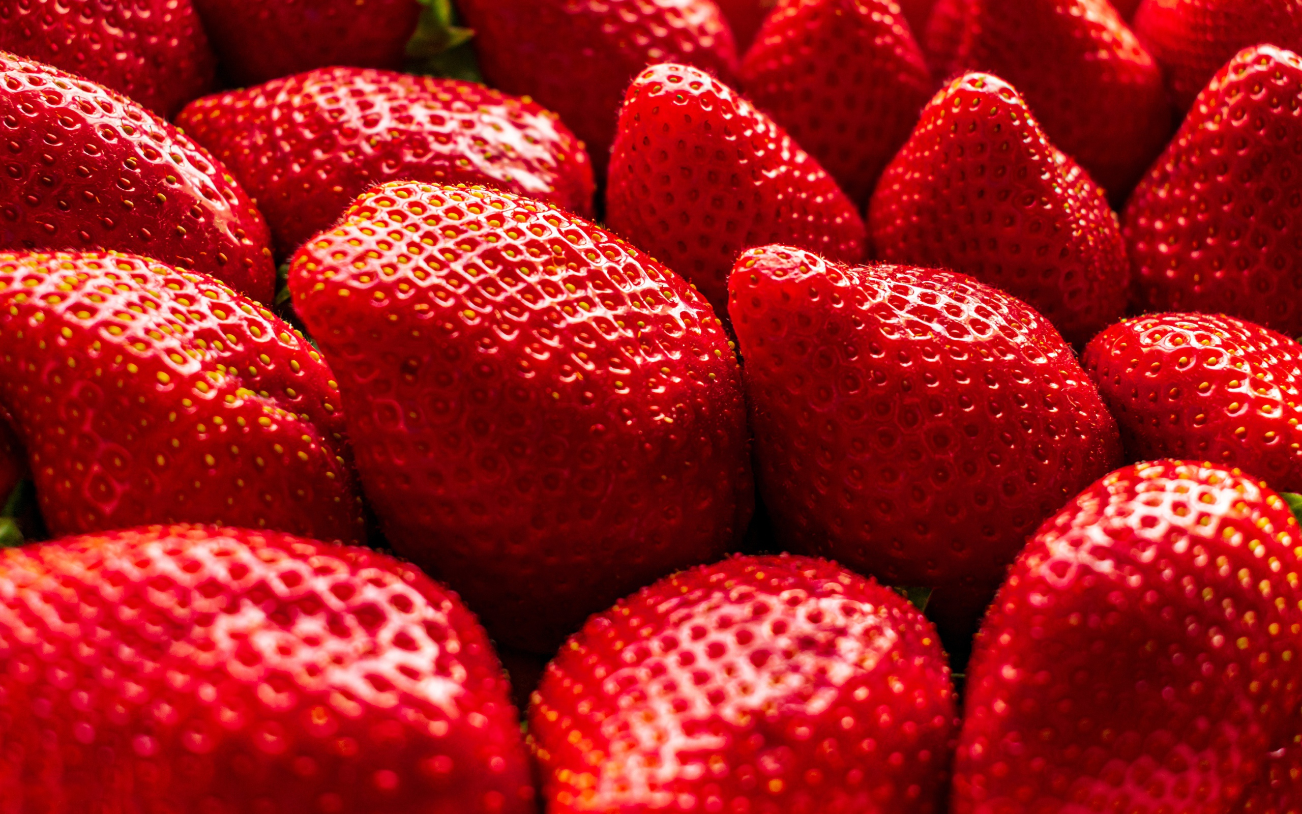 Lots of sweet ripe red strawberries close up