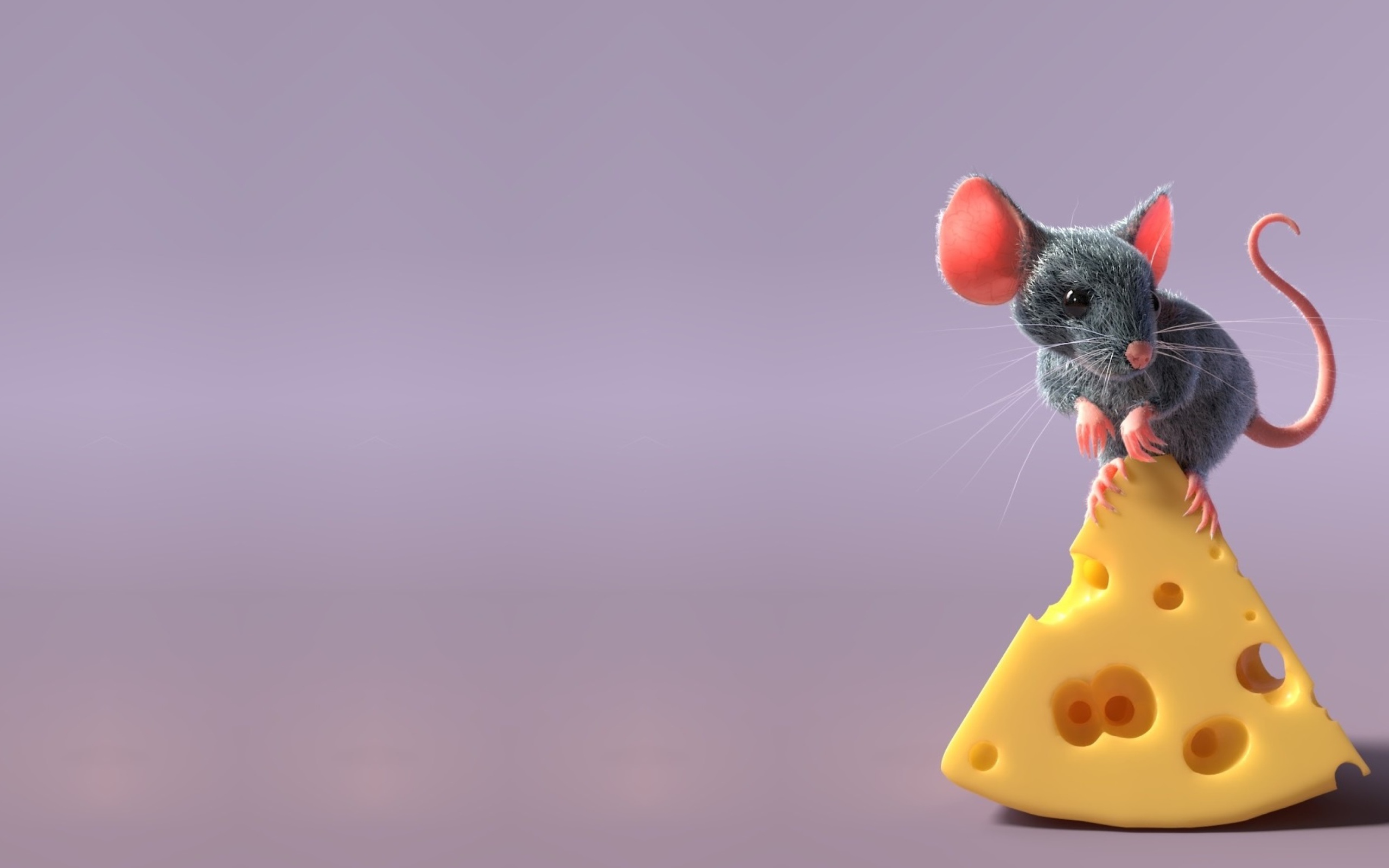 Маленький серый мышонок на кусочке сыра 