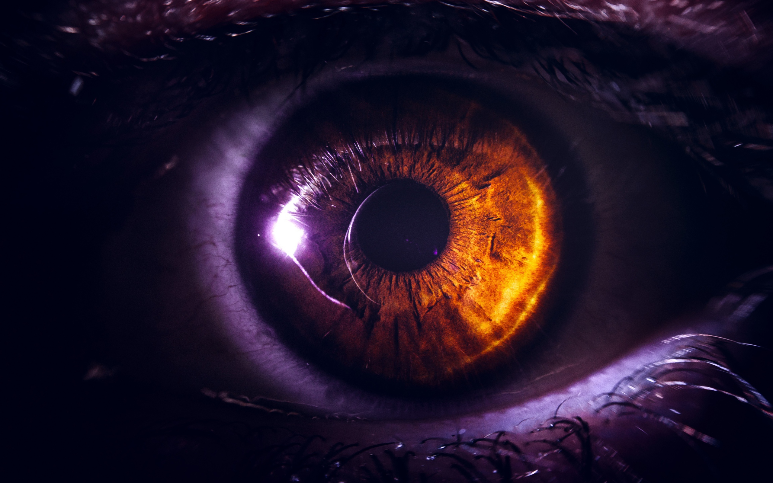 Карий глаз девушки крупным планом