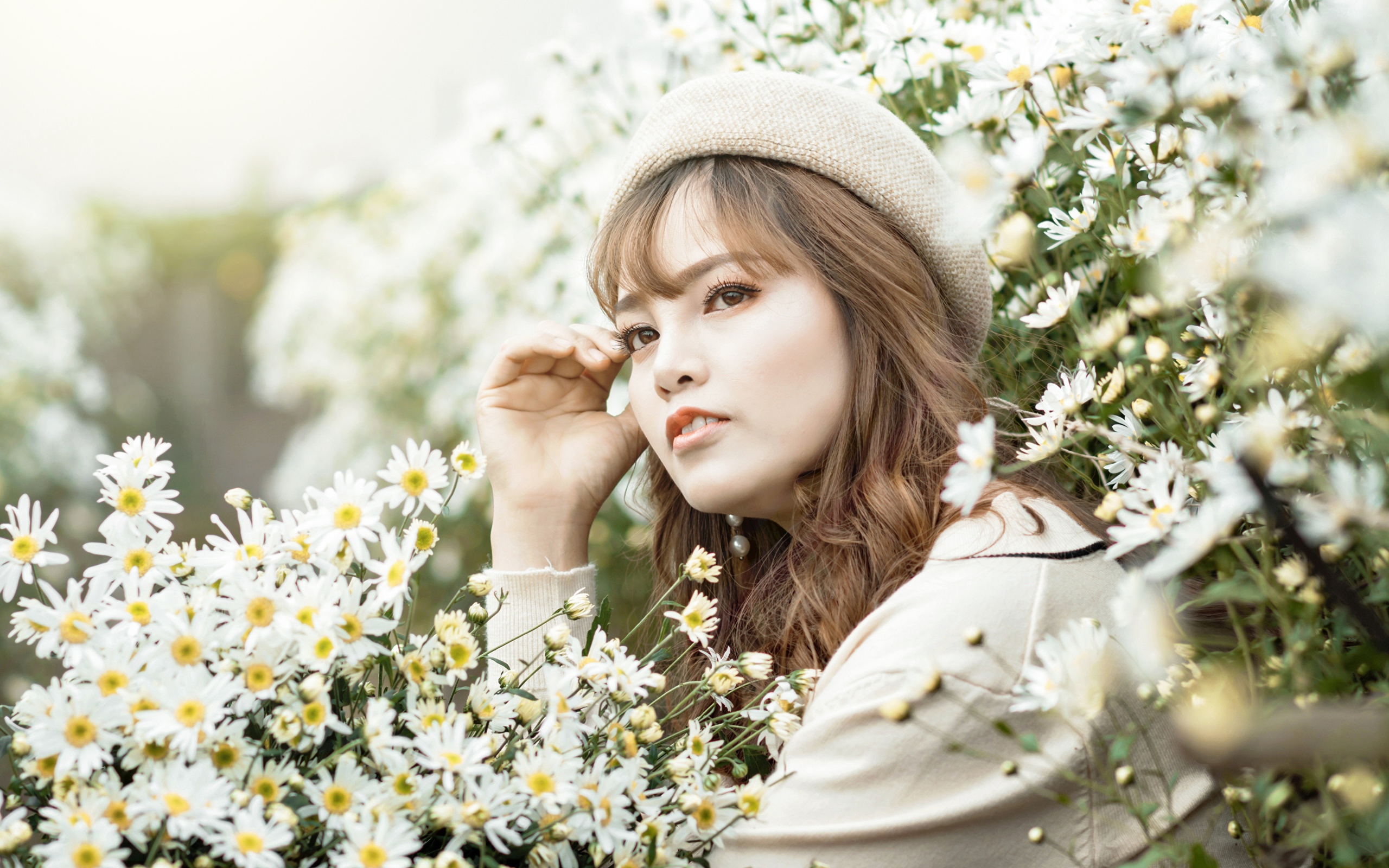 Девушка азиатка сидит в белых цветах ромашки 