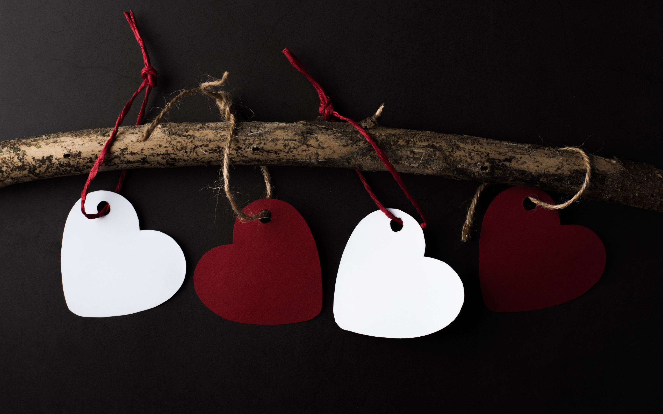 Paper hearts on a branch on a black background