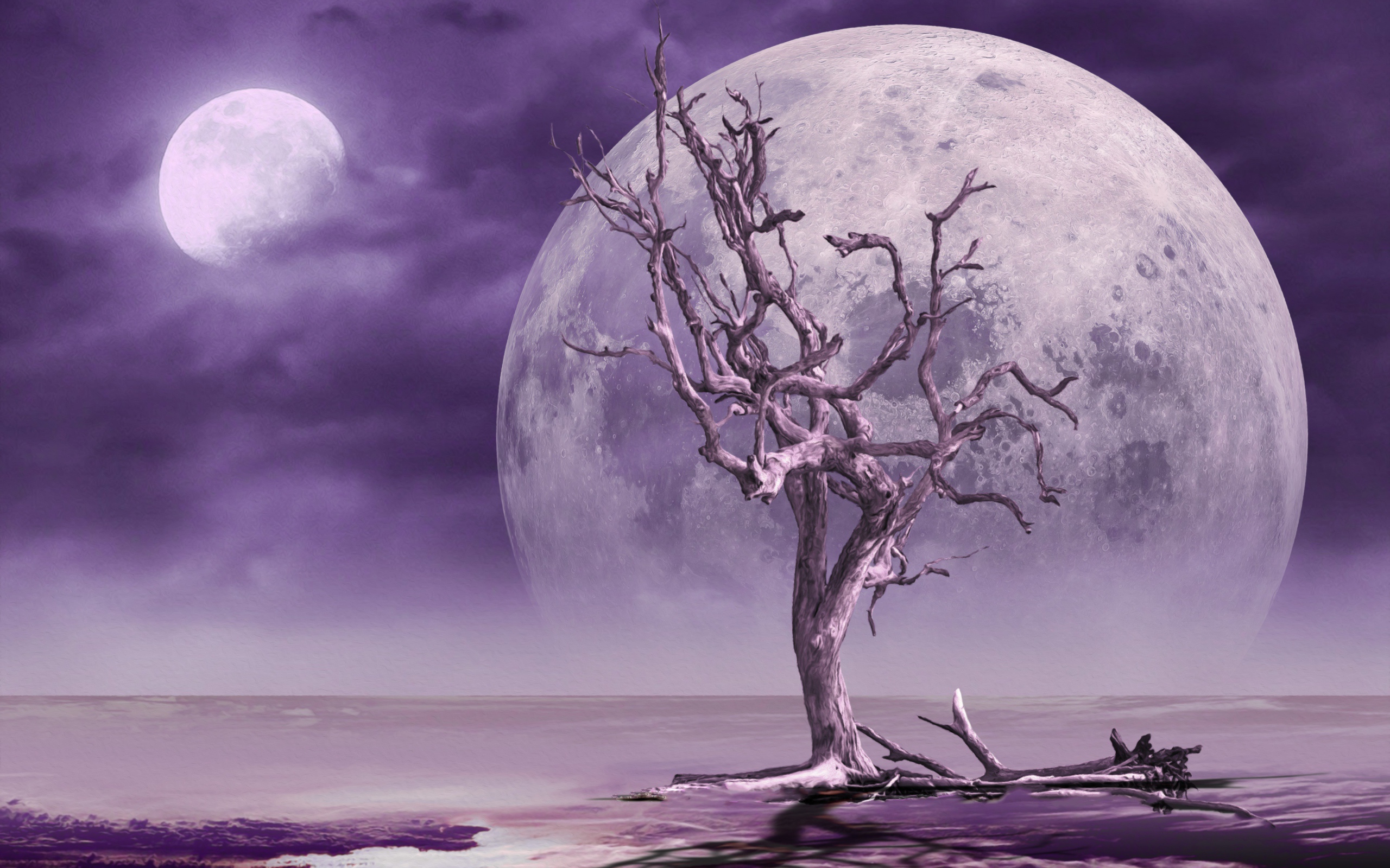 Большая луна в небе у сухого дерева
