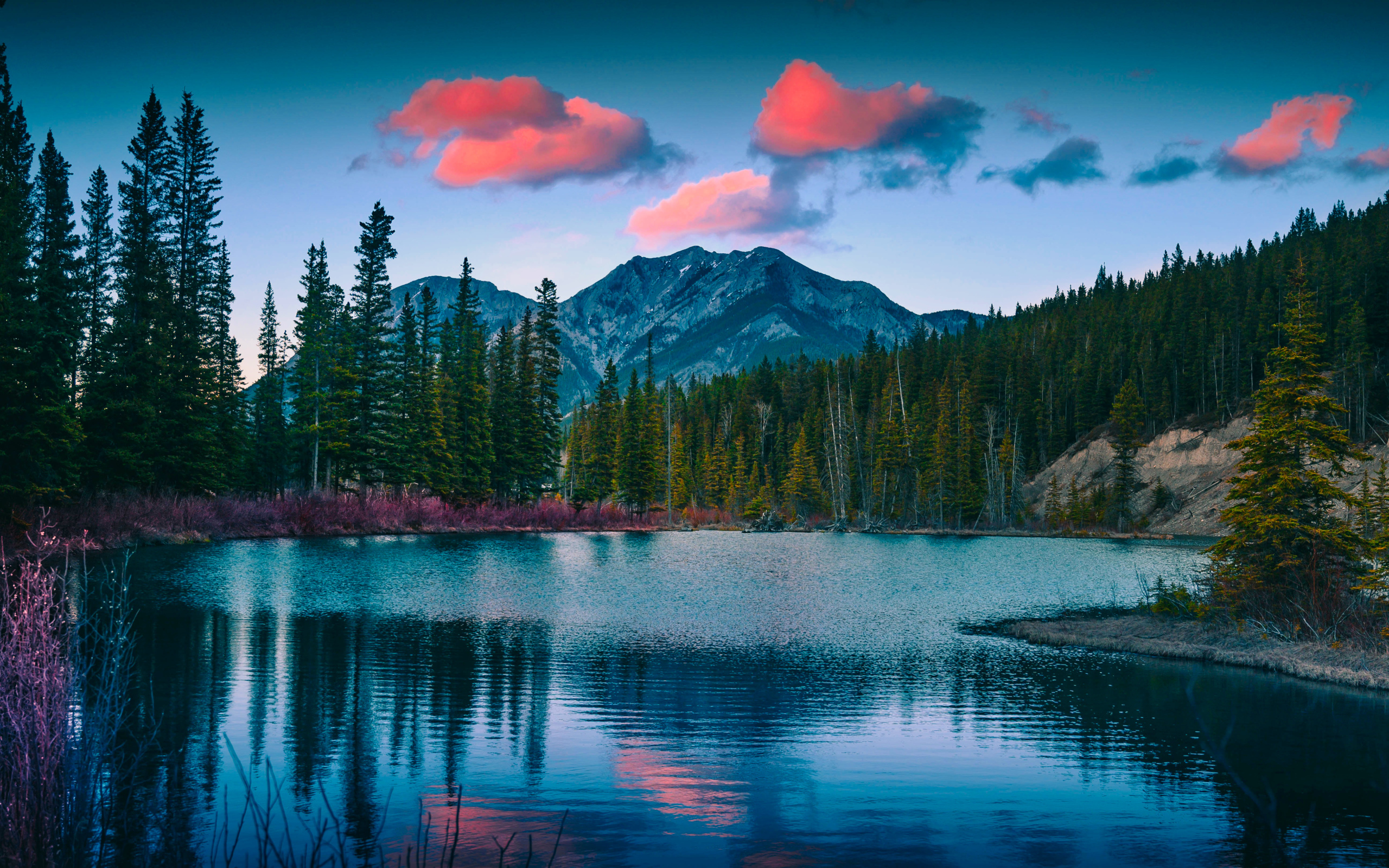 Зеленый лес у озера у подножия гор 