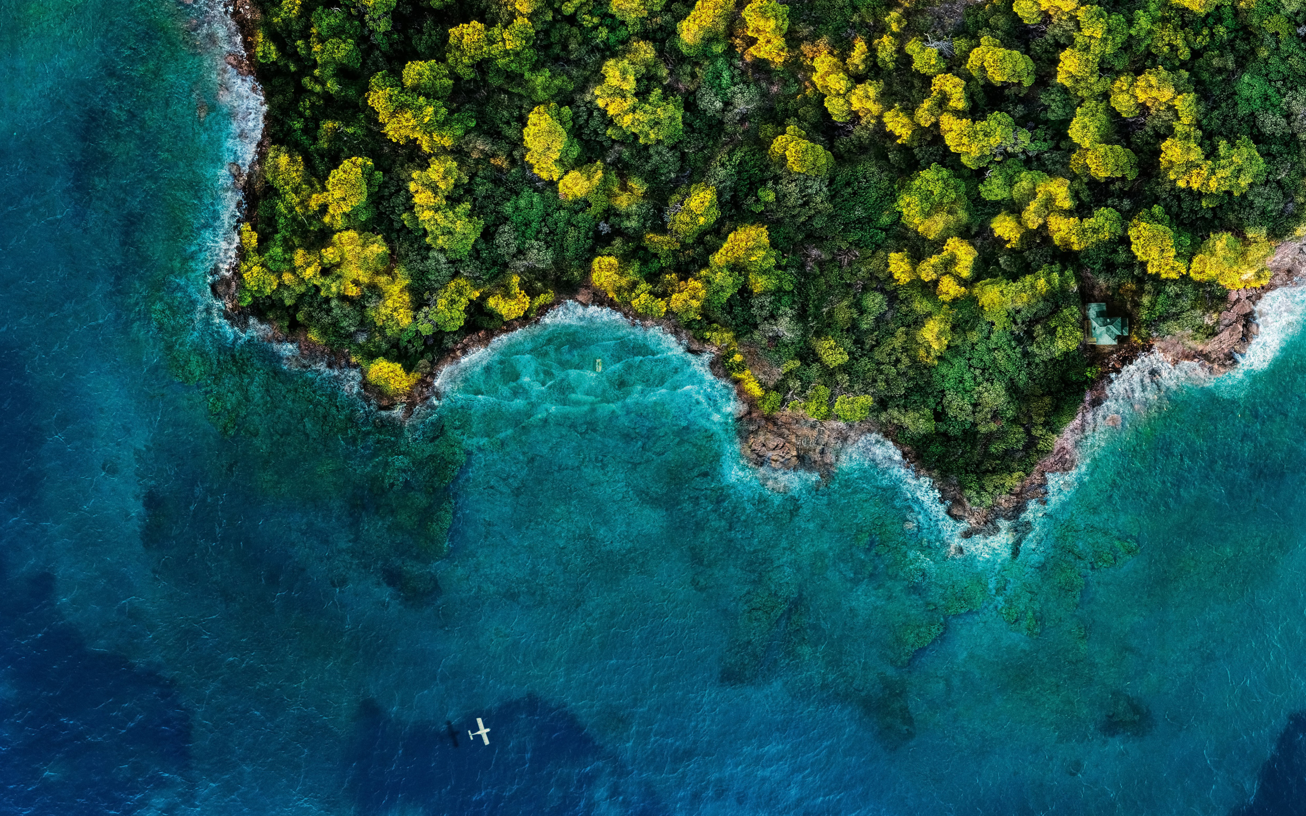 Вид сверху на голубой океан и зеленый лес, Исландия