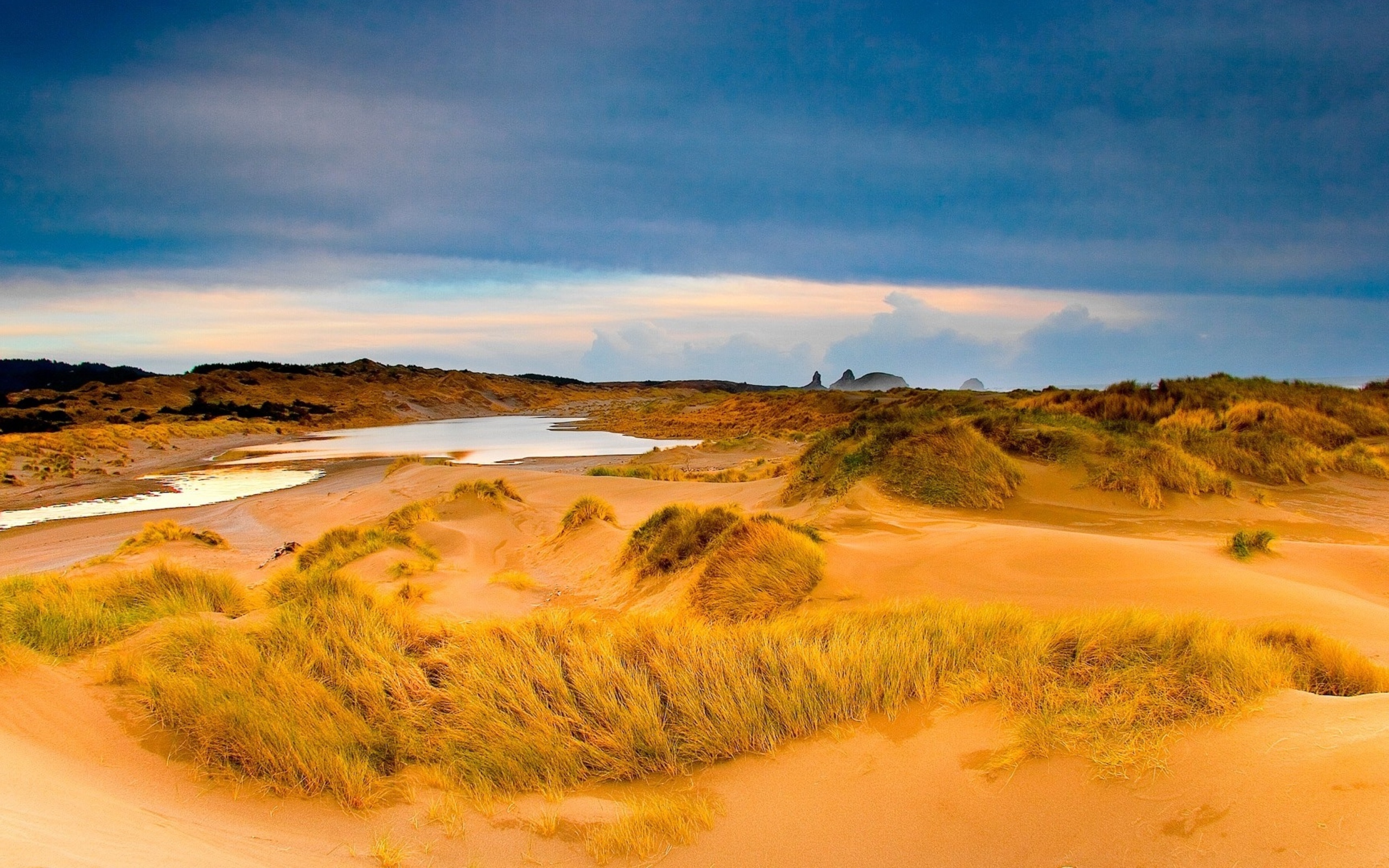 Мокрый песок с травой в пустыне