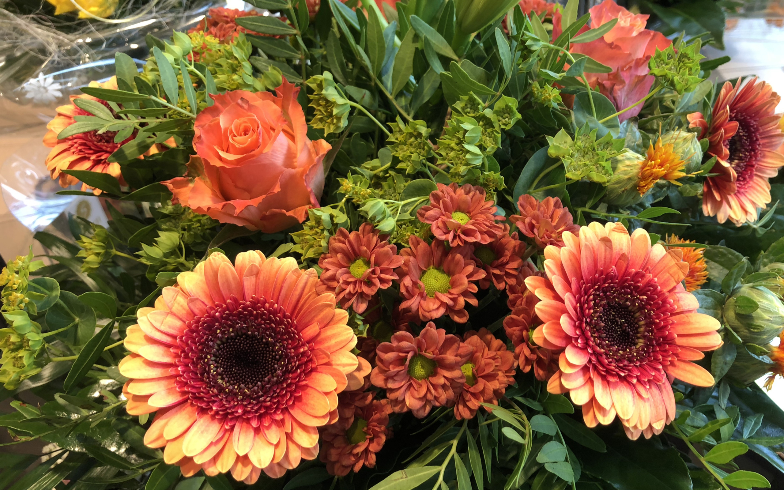 Красивые оранжевые герберы с цветами хризантемы