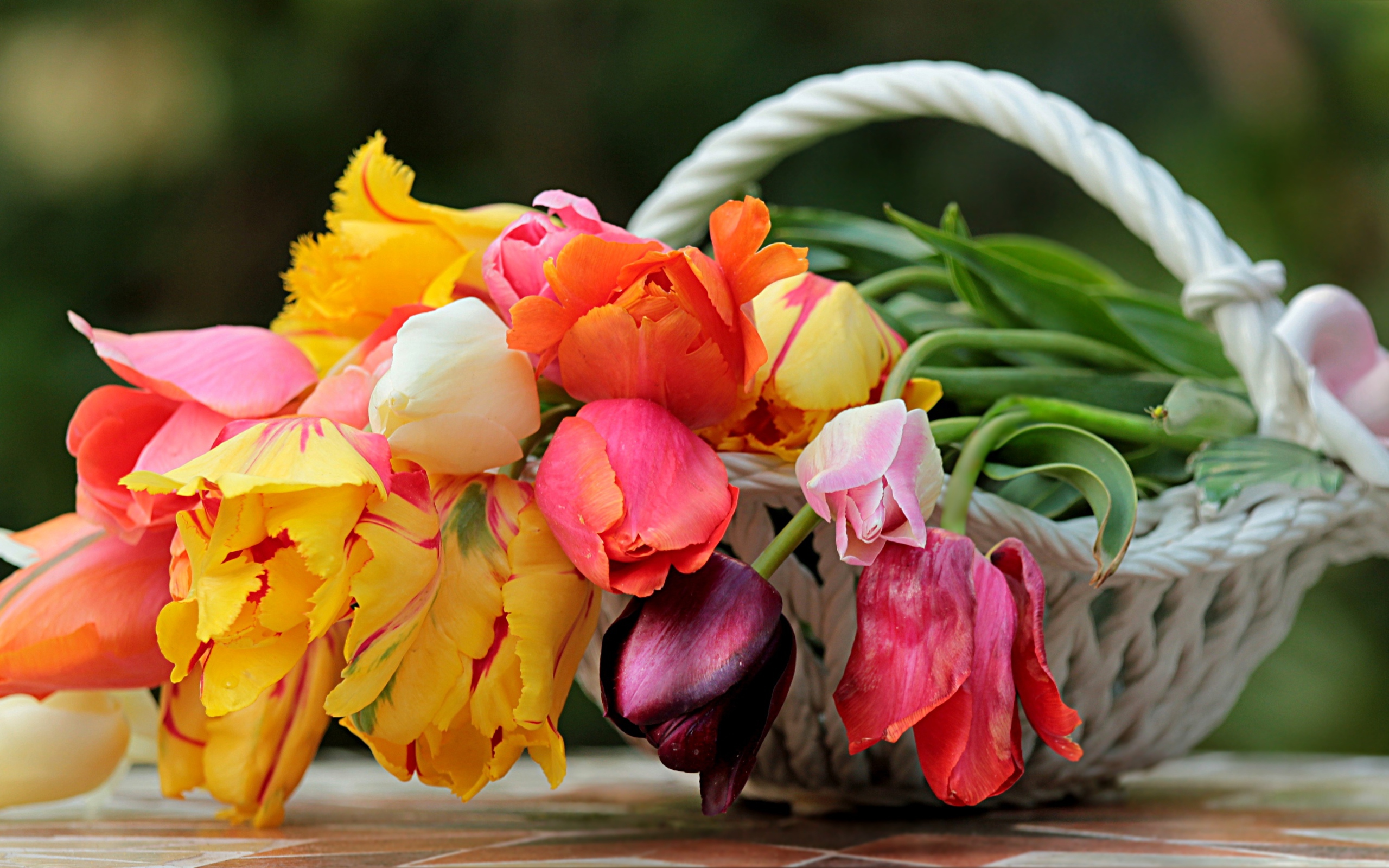 Букет красивых разноцветных тюльпанов в корзине 