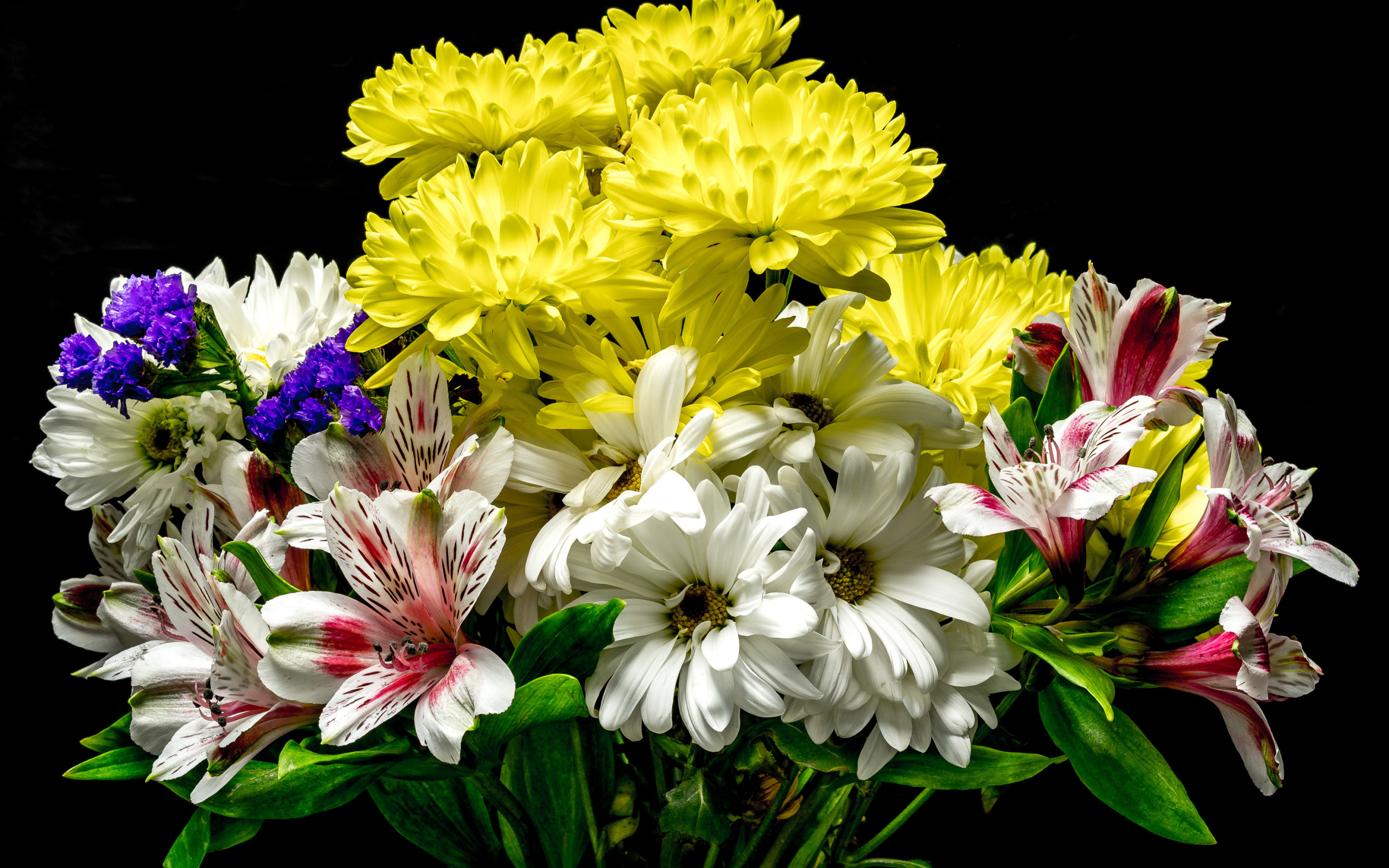 Букет из цветов хризантемы и альстромерии на черном фоне