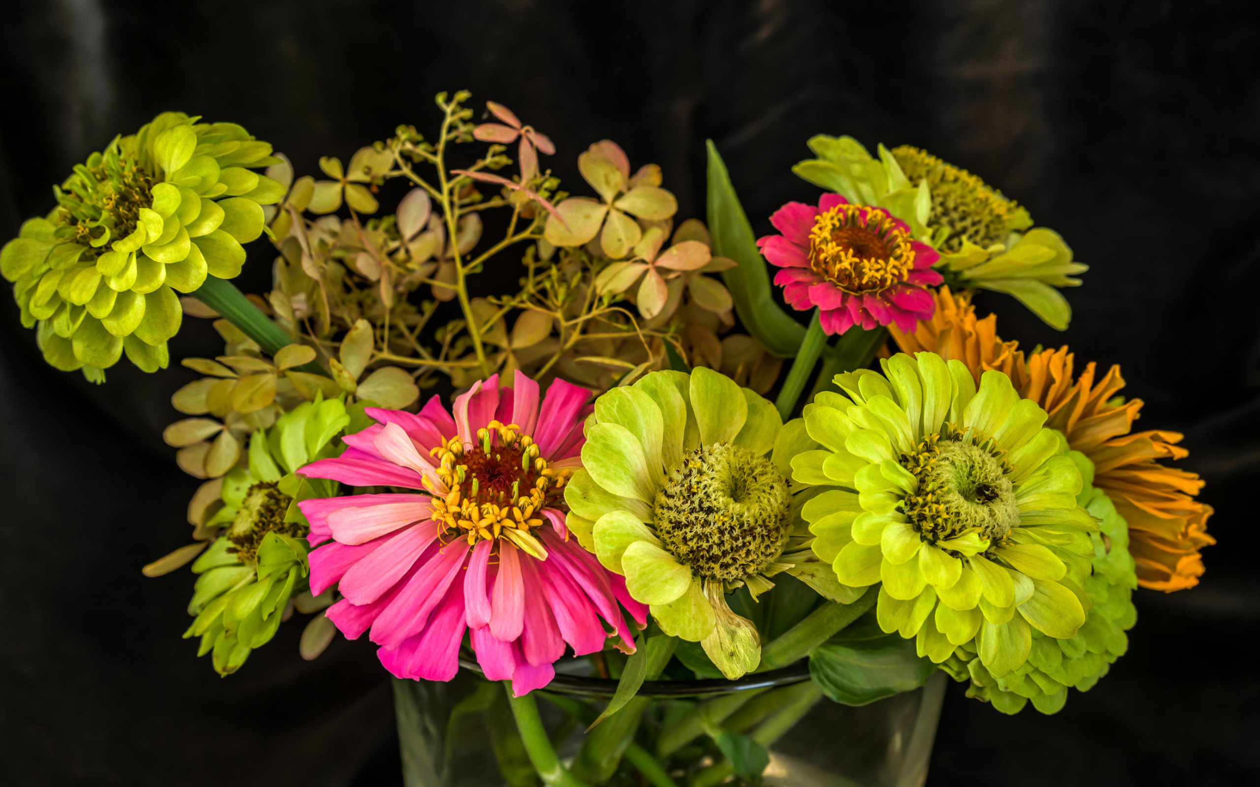 Букет разноцветных цветов цинния в вазе 