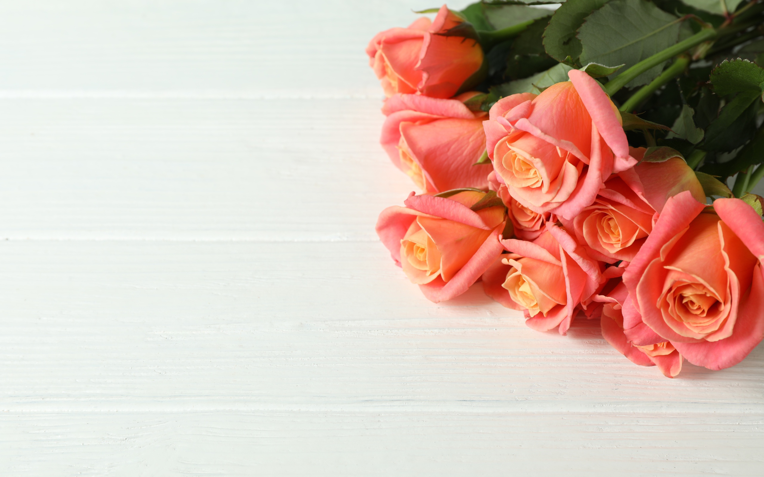 Букет нежных розовых роз на белом фоне