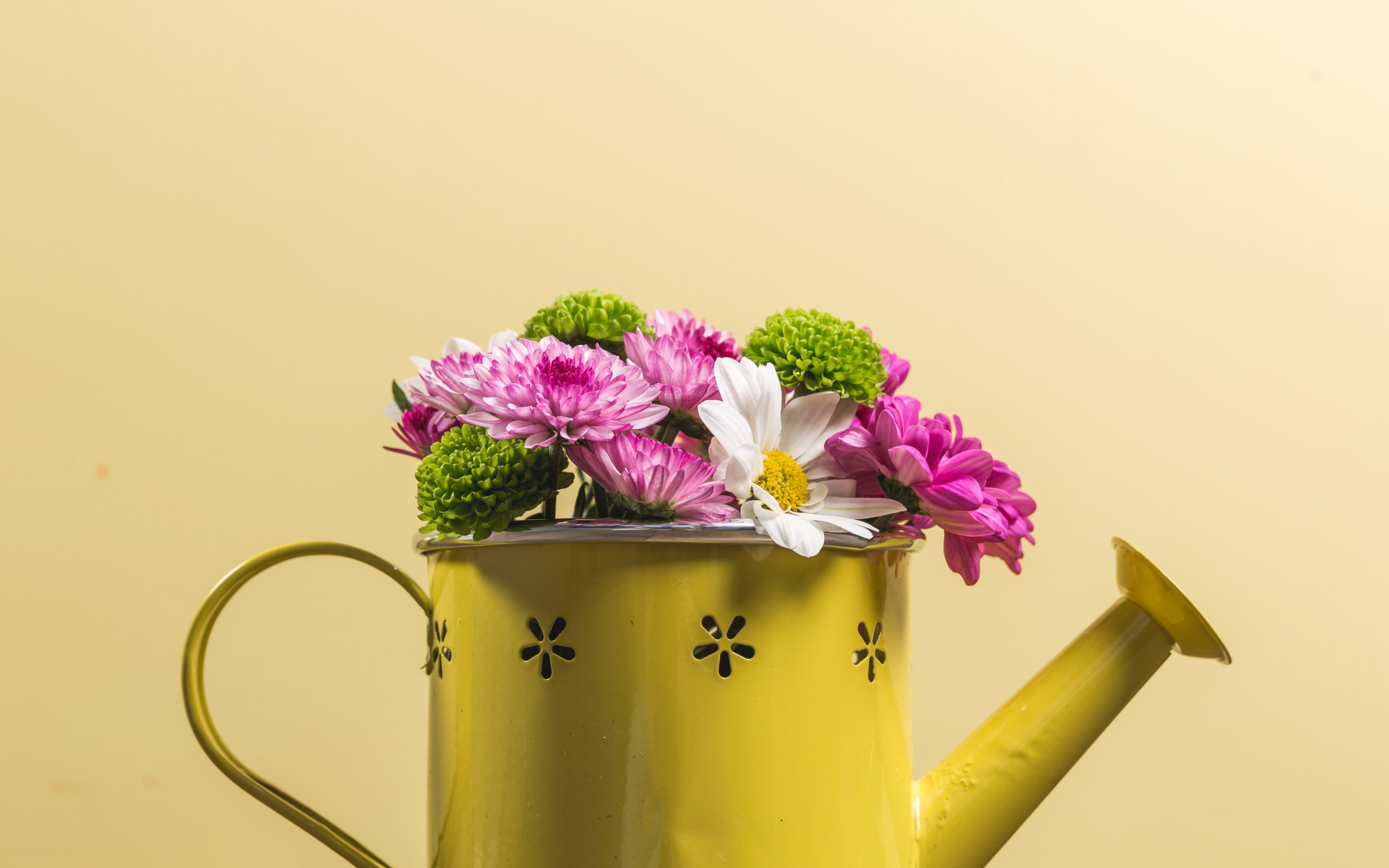 Букет хризантем в желтой лейке 