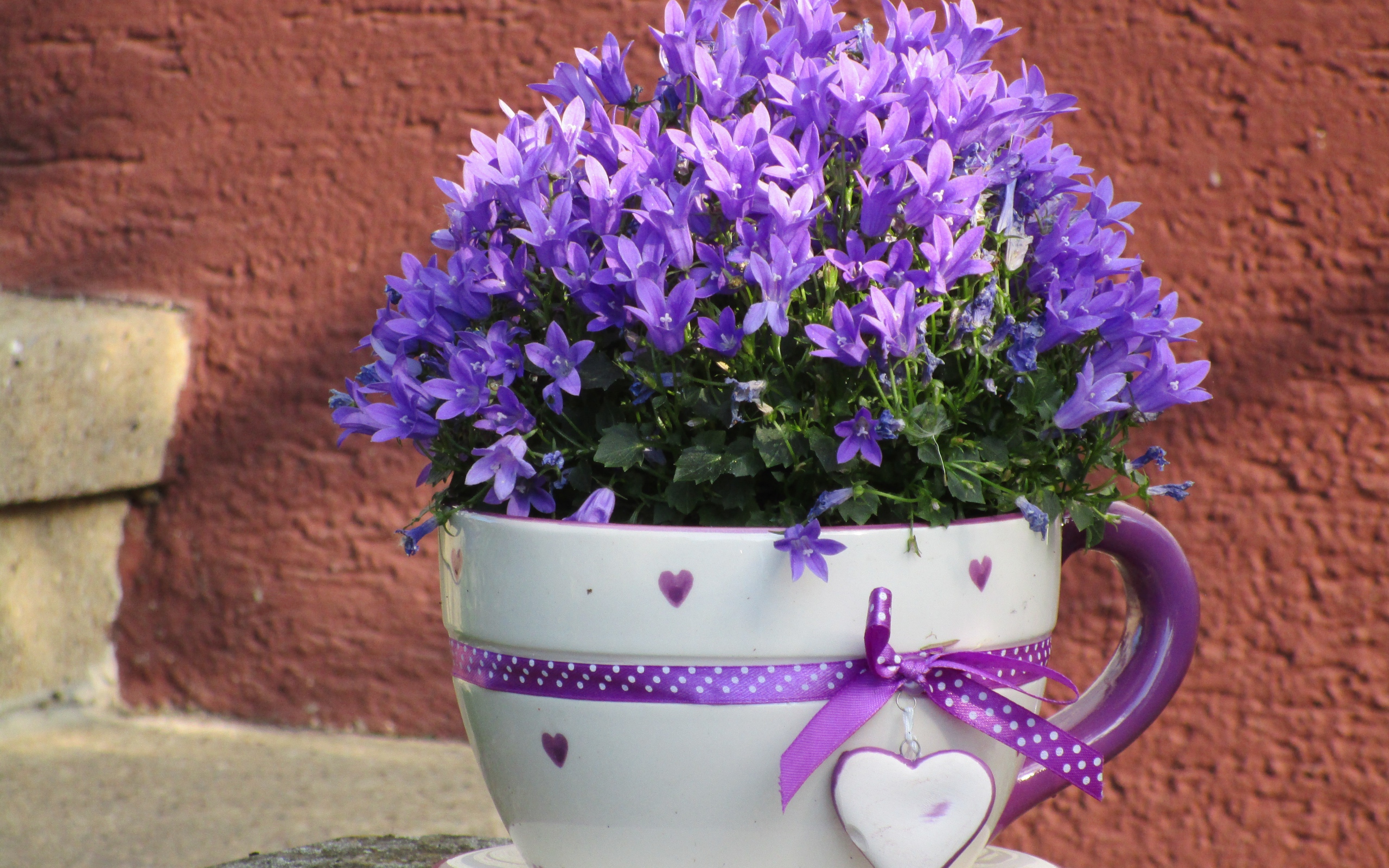 Много мелкий фиолетовых цветок в кружке