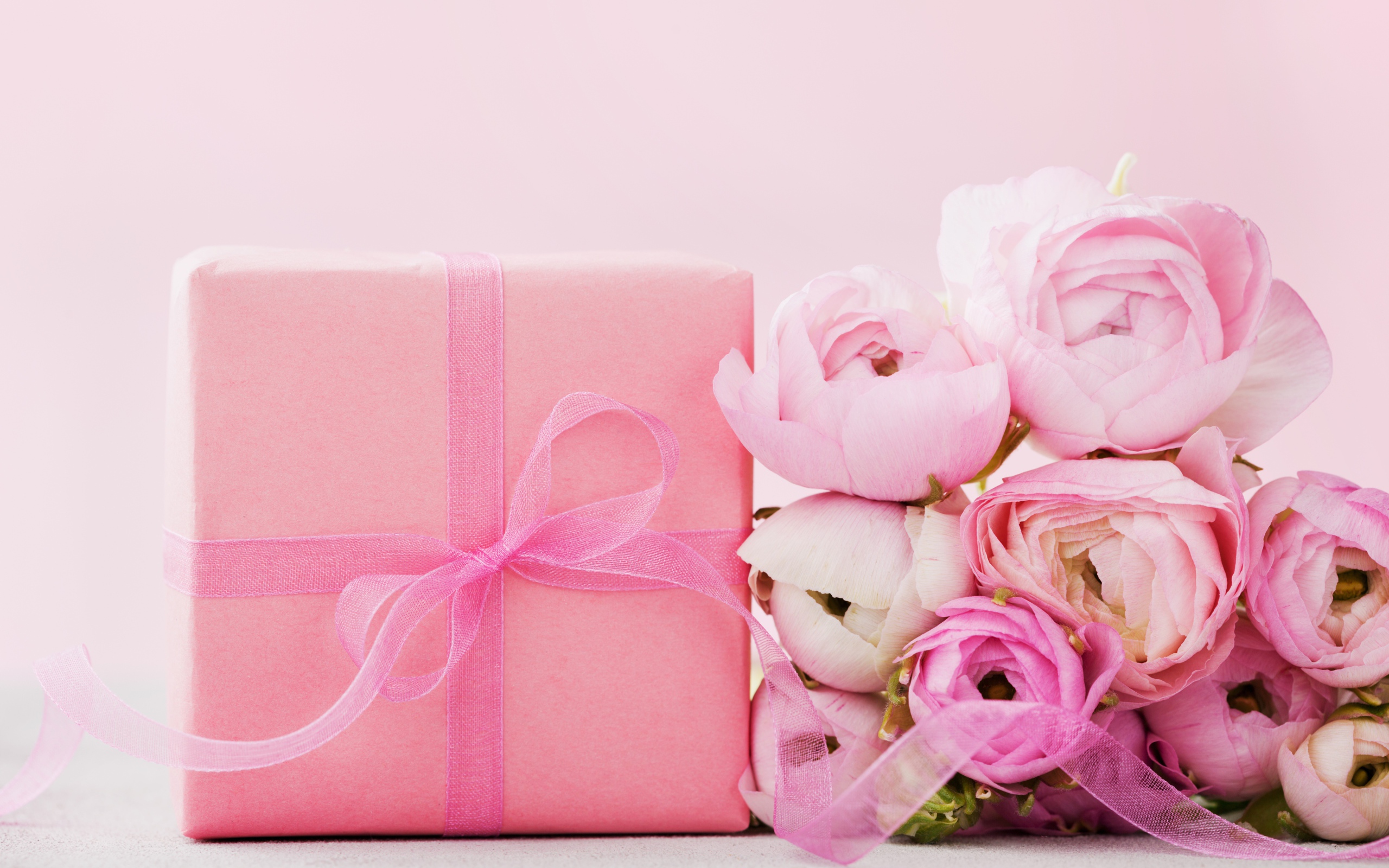 Розовые лютики с подарком на розовом фоне 