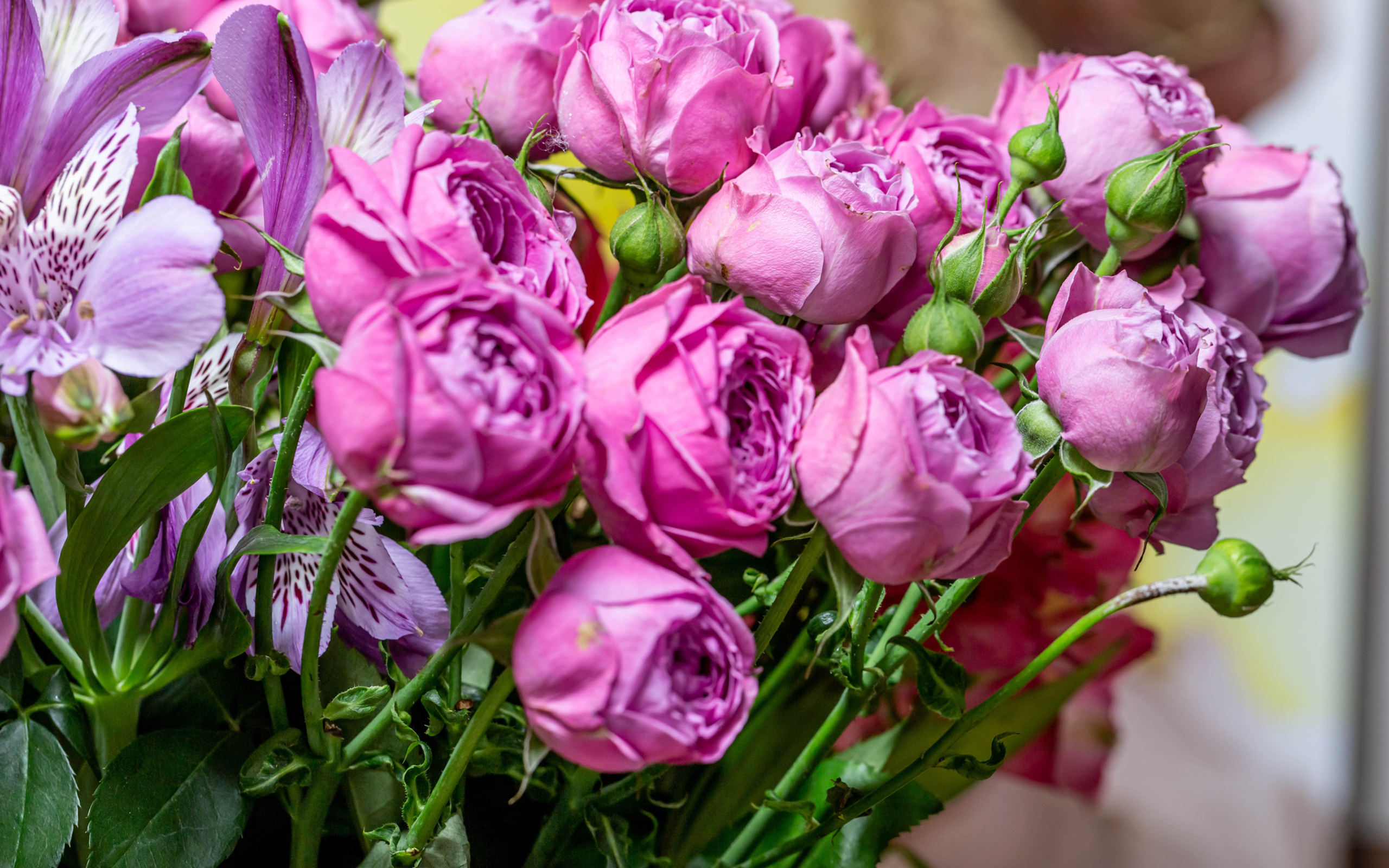 Розовые розы с бутонами в букете с цветами альстромерии