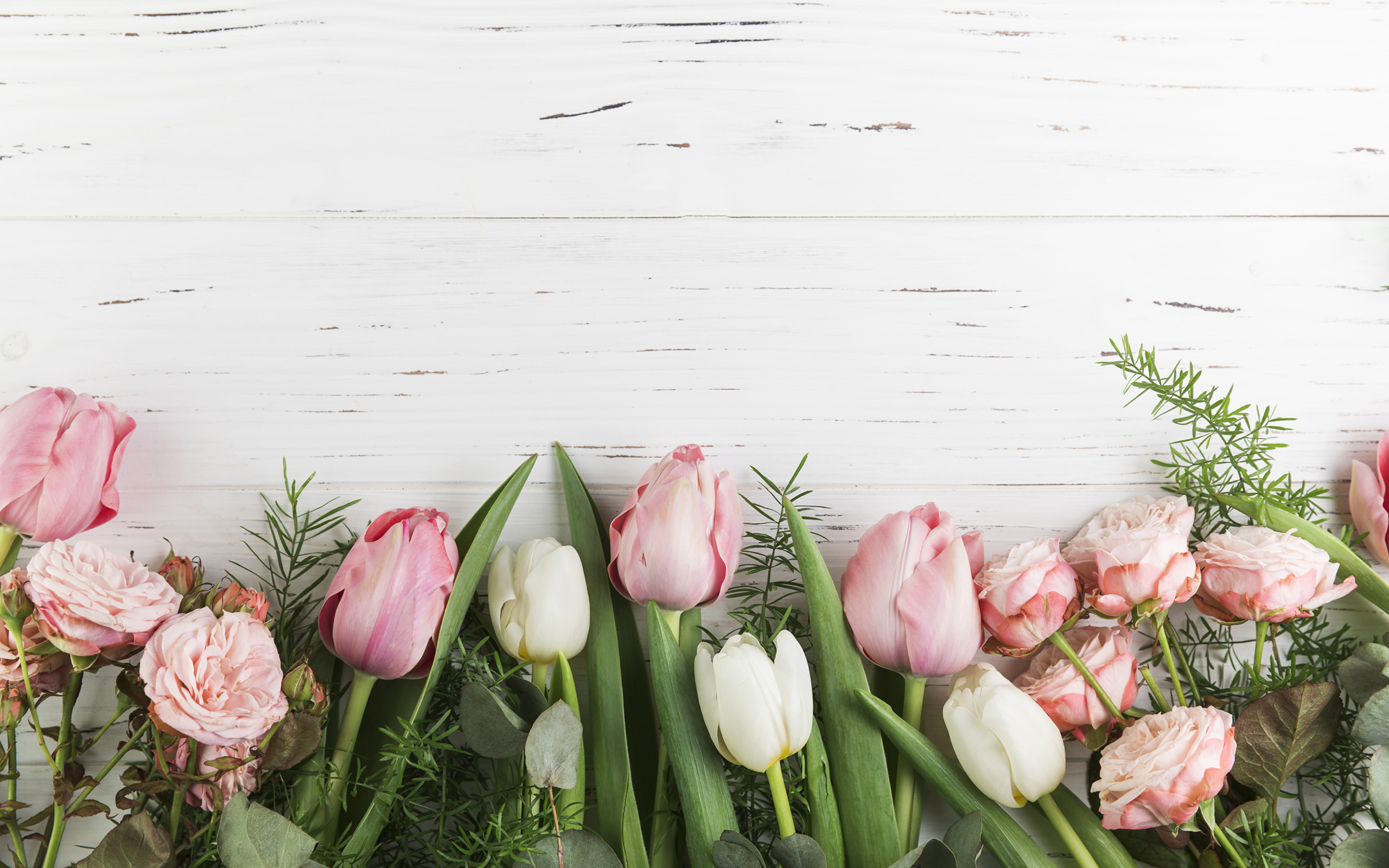 Розовые тюльпаны и розы на белом фоне