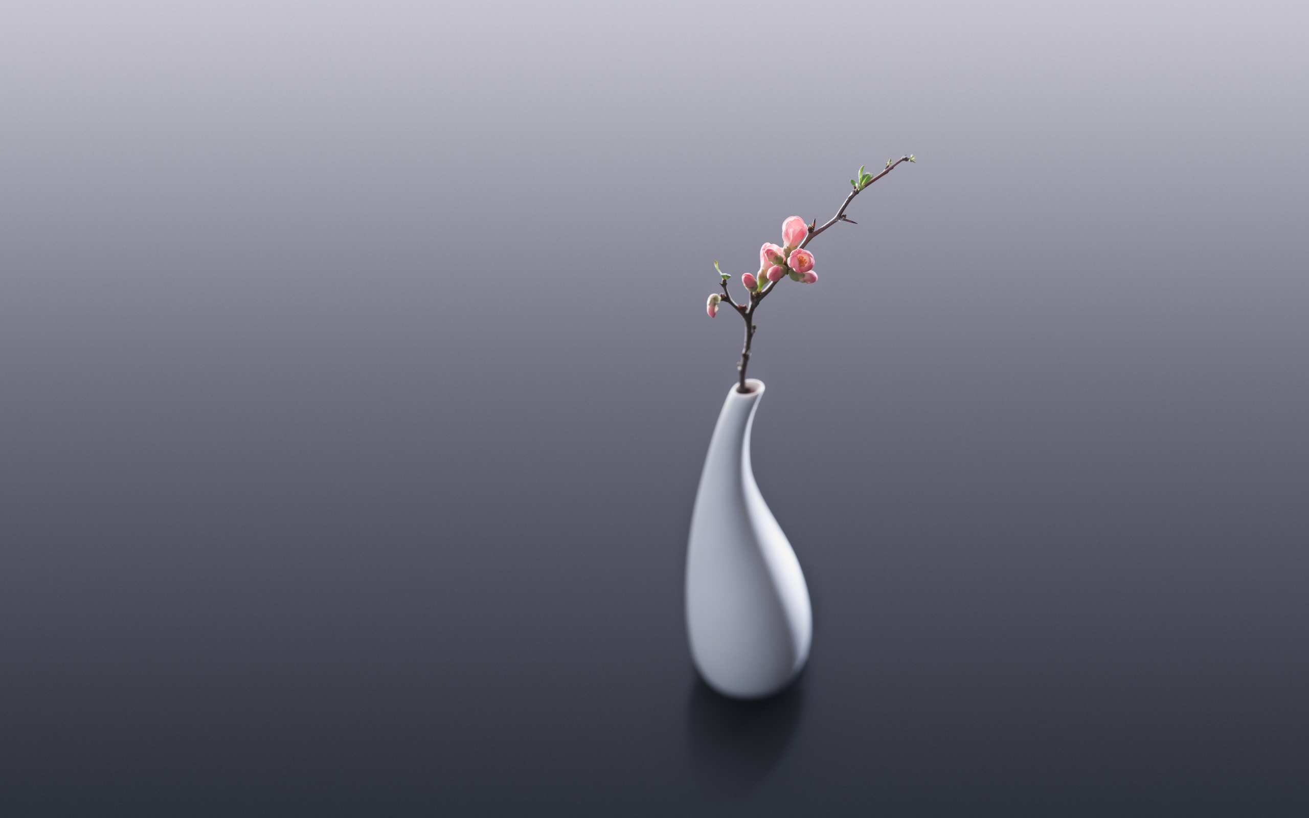 Белая ваза с веткой с розовыми цветами на сером фоне