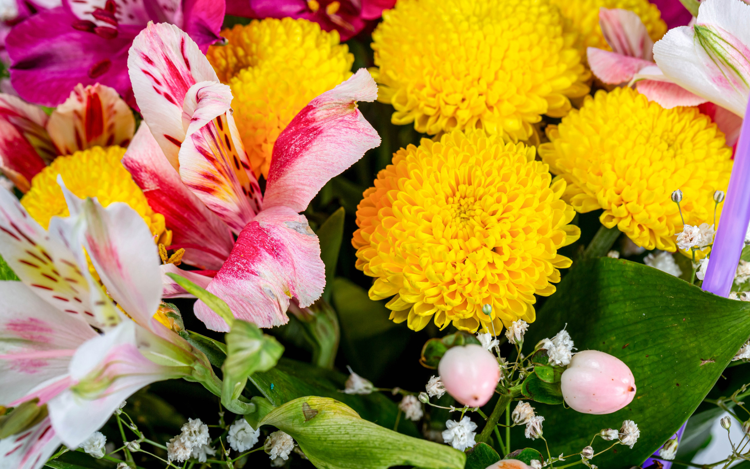 Желтые хризантемы и цветы альстромерии в букете 