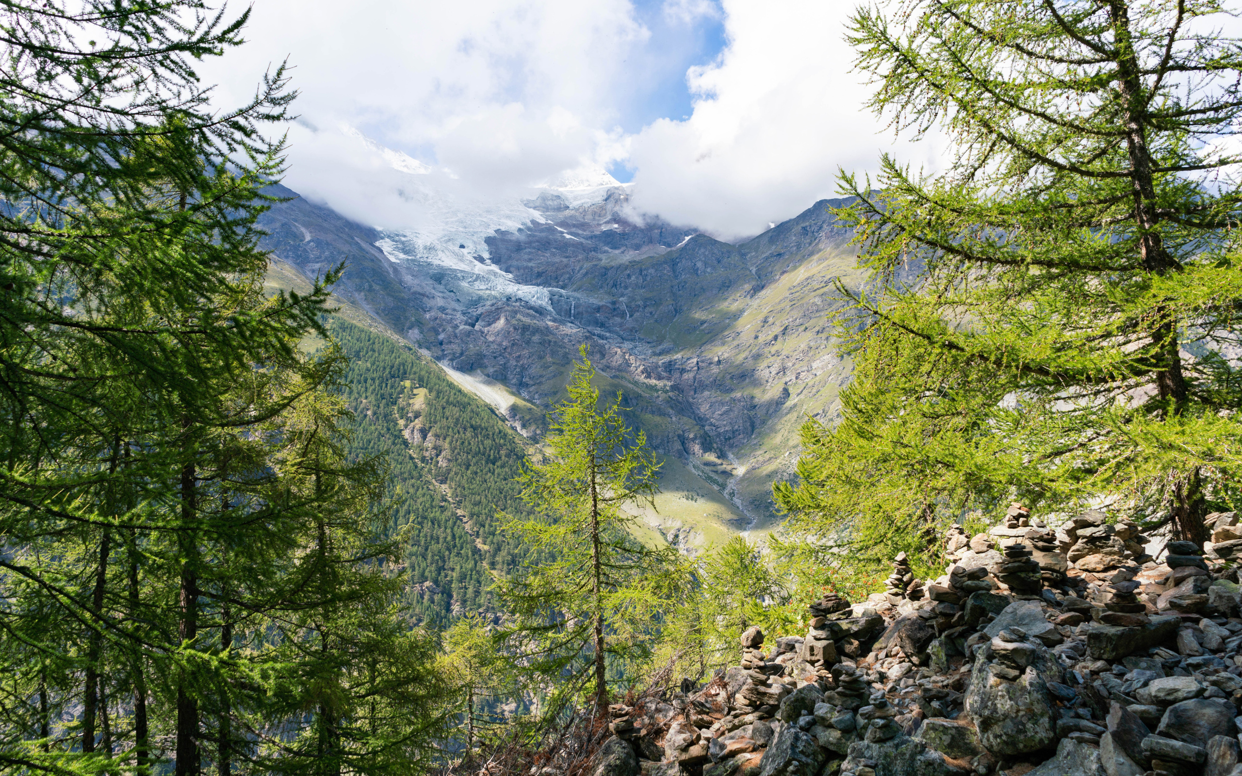 Высокие покрытые хвойным лесом горы под облачным небом 