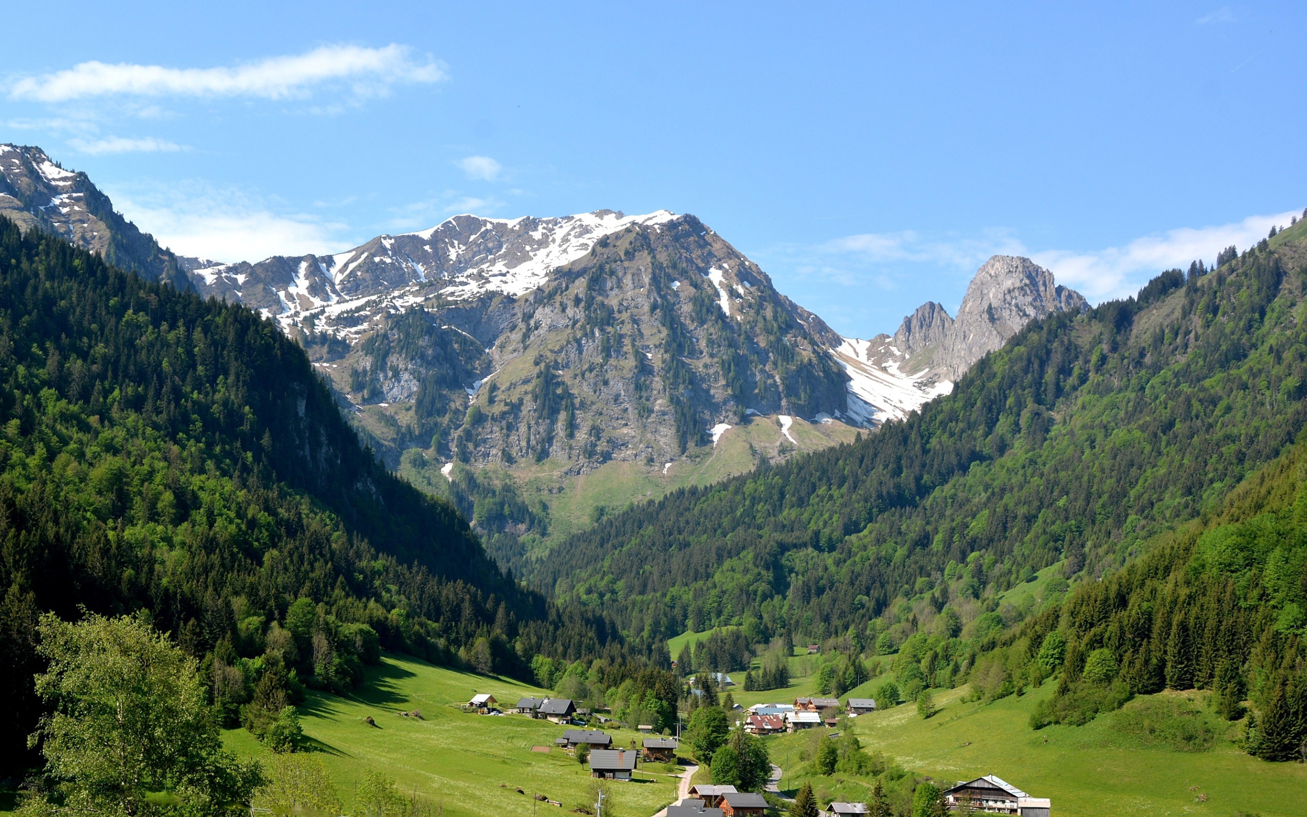 Вид на заснеженные горы и зеленый лес под голубым небом 