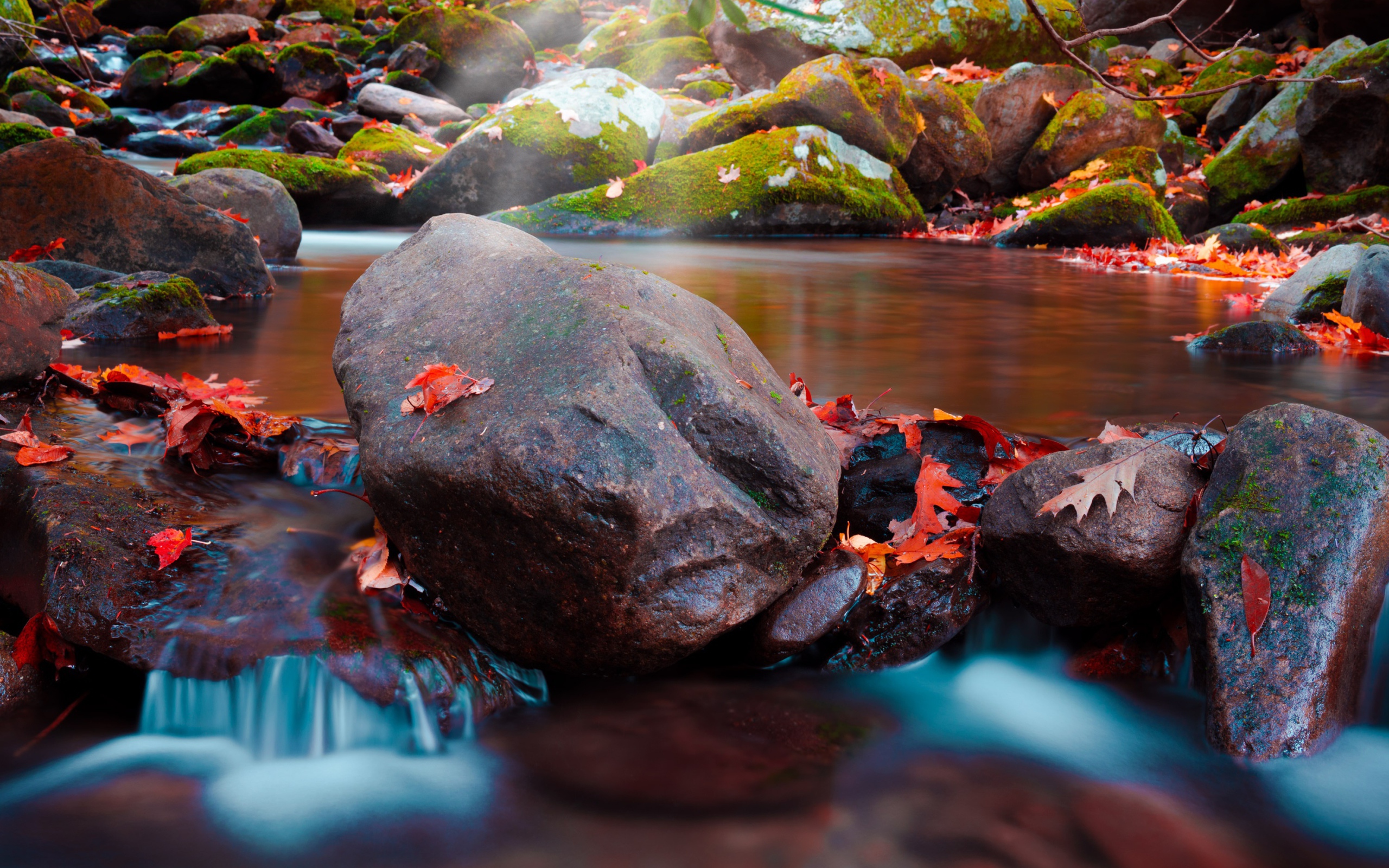 Большие мокрые камни с мхом в реке