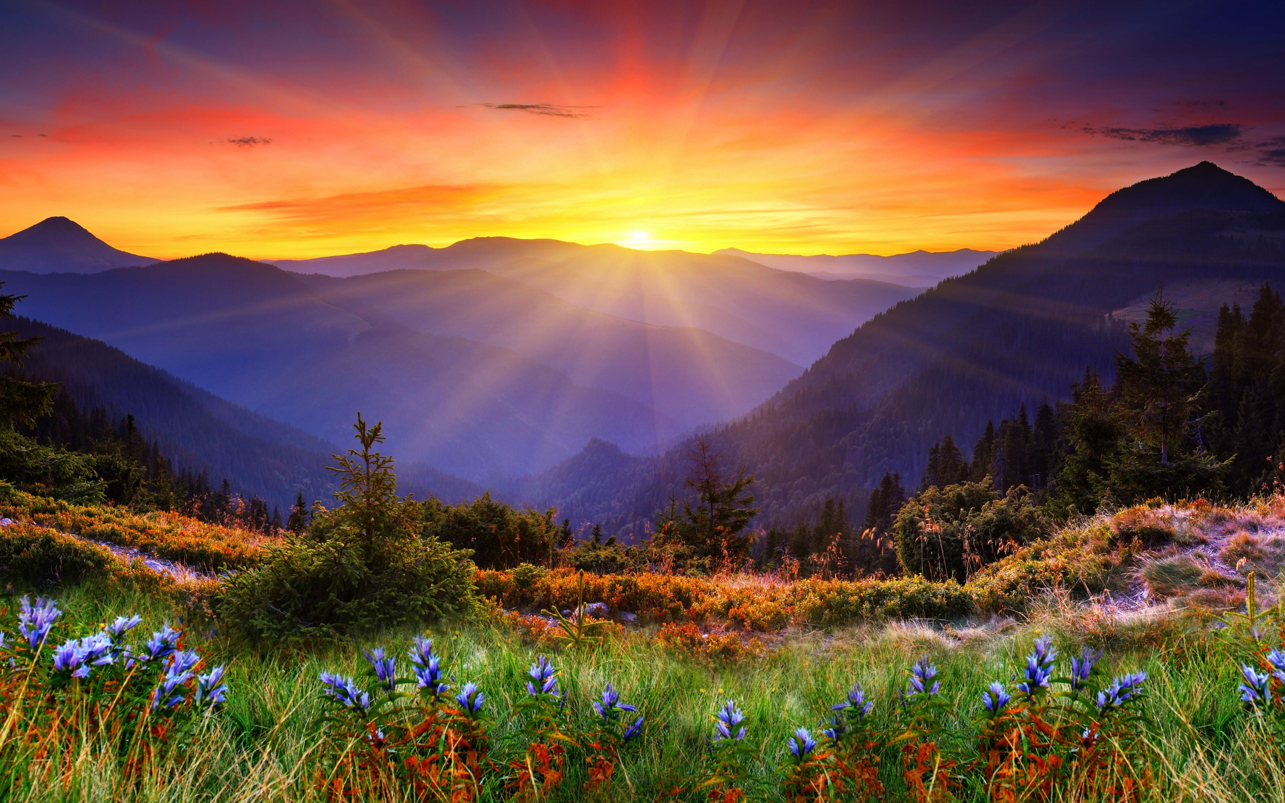 Яркое солнце покрывает вершины гор и красивую природу 