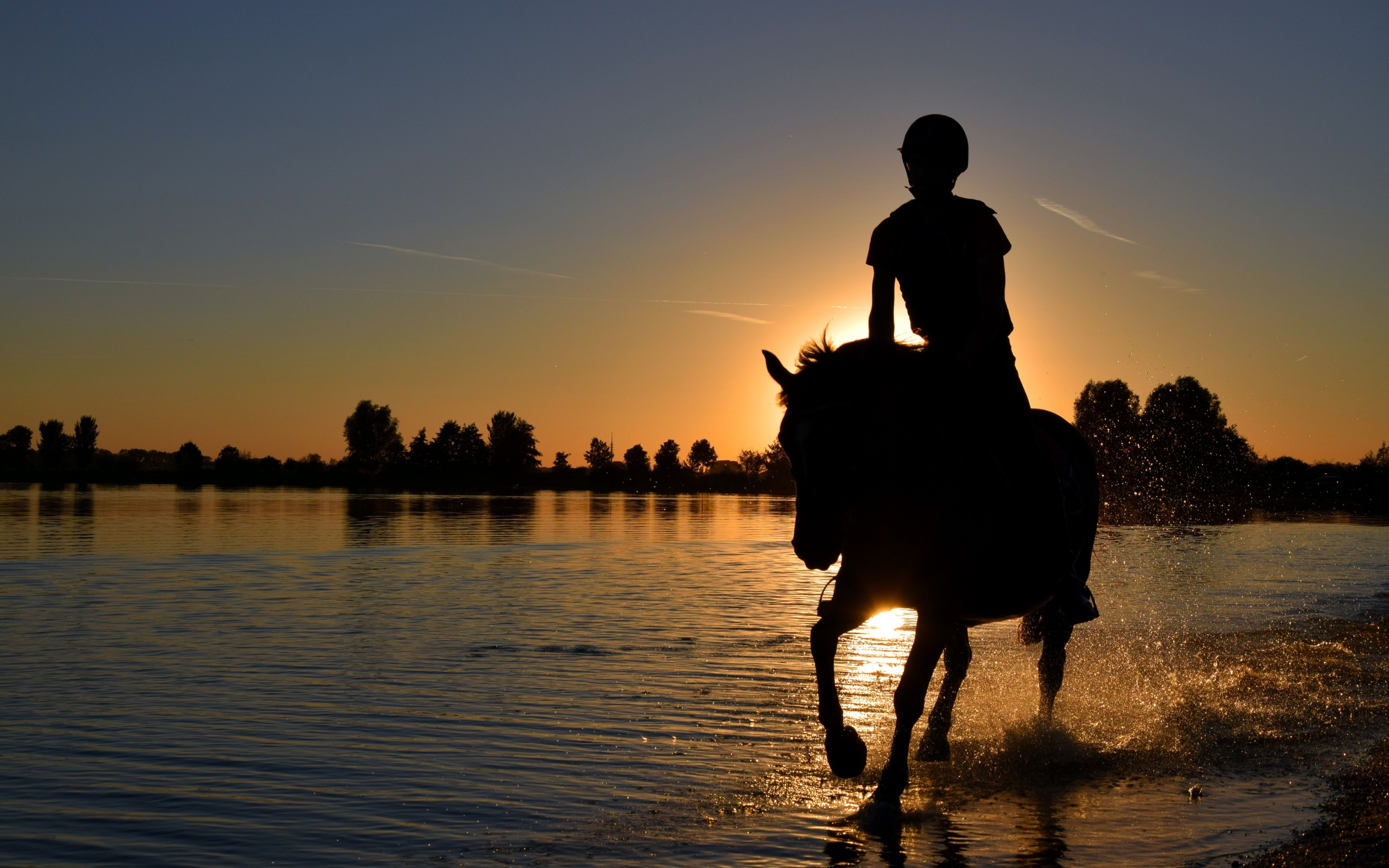 Девушка на лошади скачет по воде на фоне заката