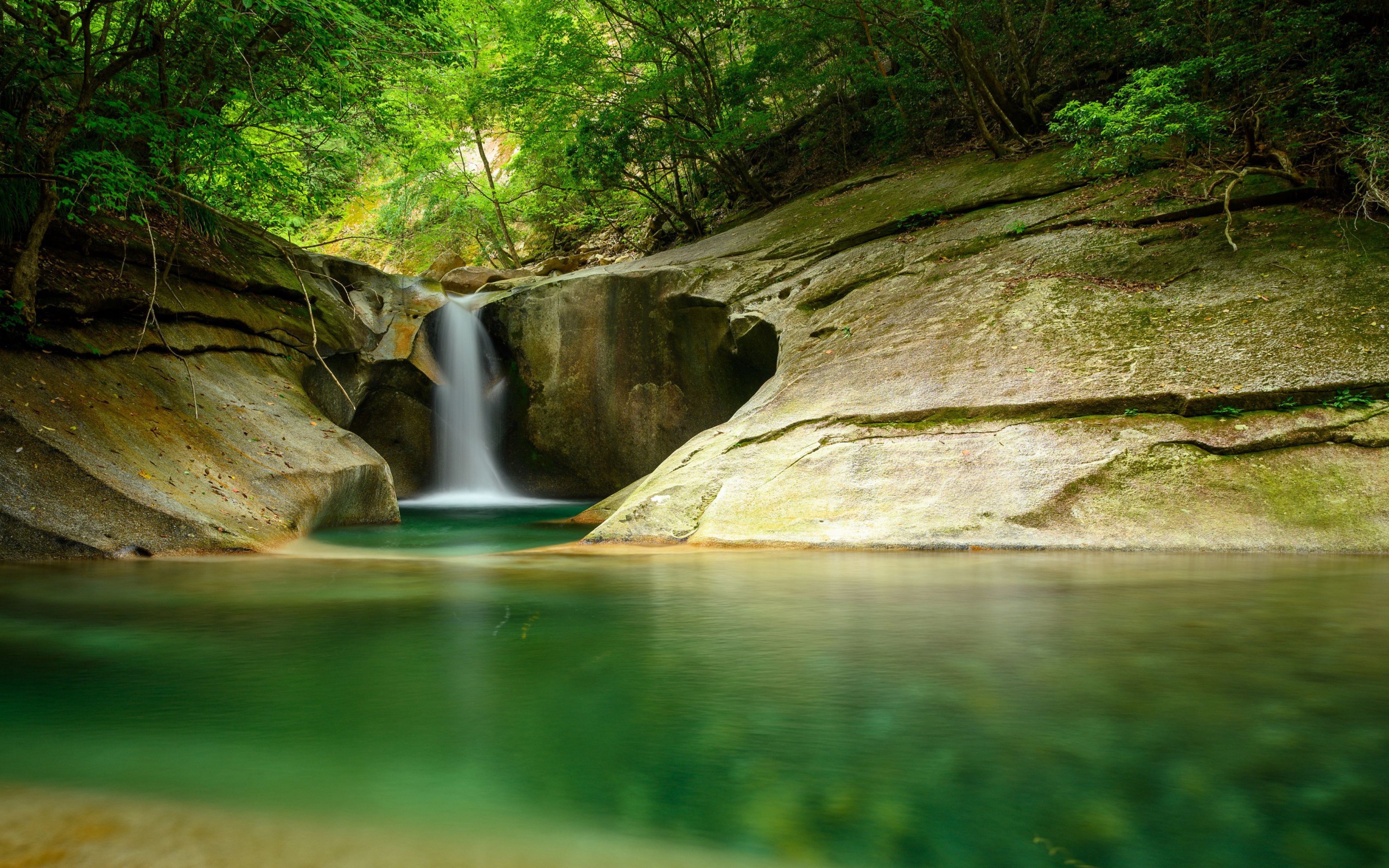 Водопад стекает по скале в озеро в лесу