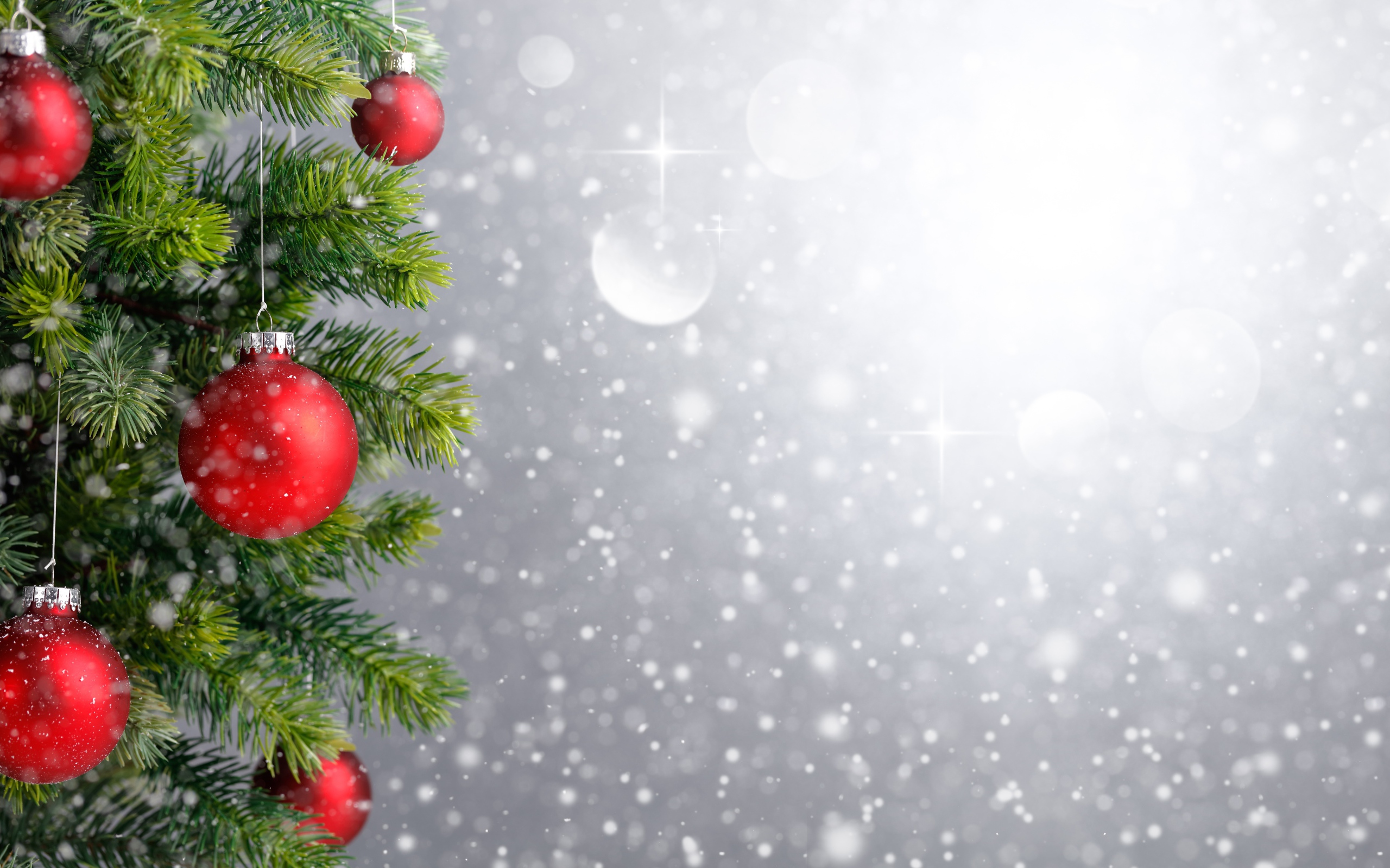 Еловая ветка с красными шариками, фон для новогодней открытки 