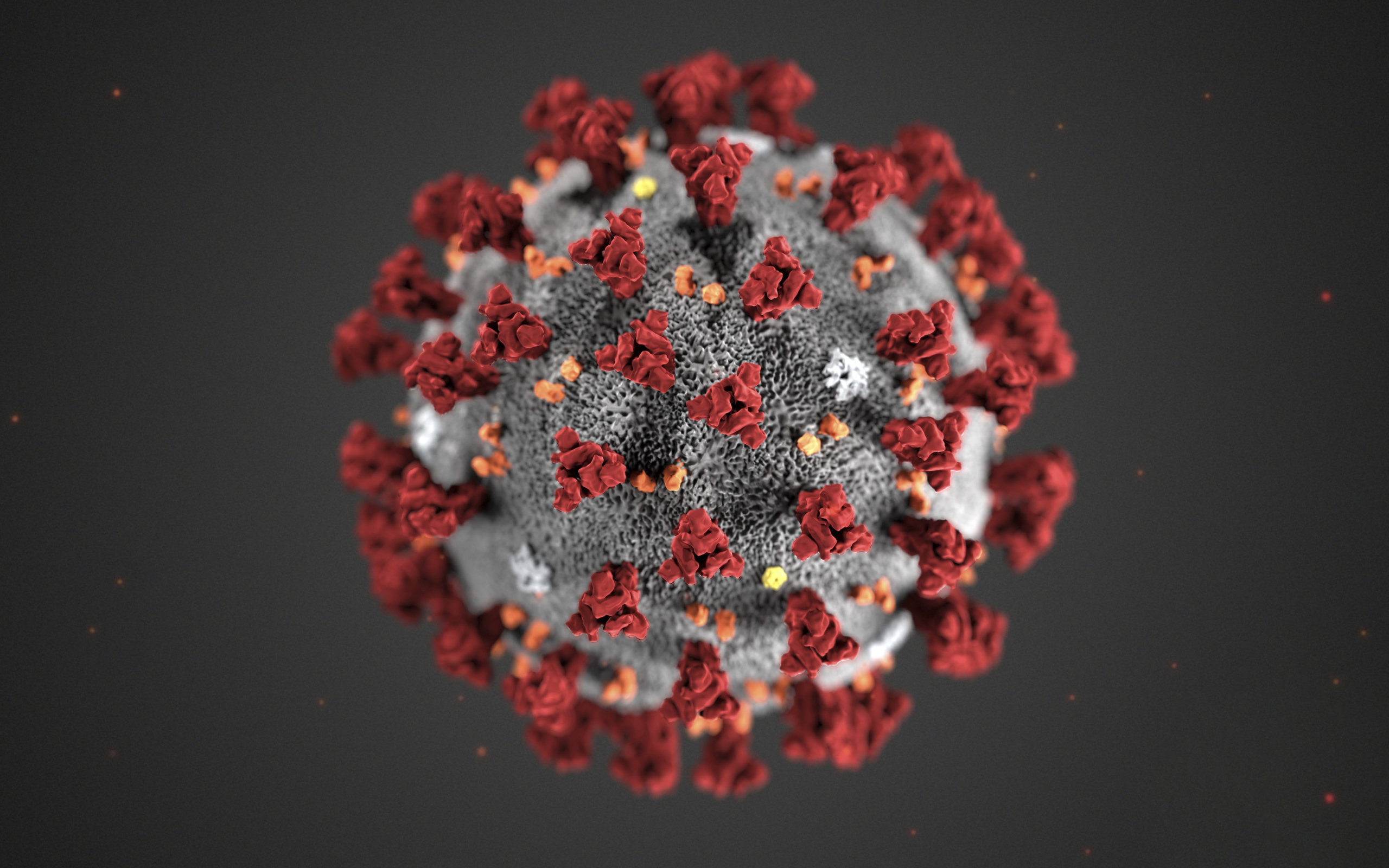 Коронавирус COVID-19 на сером фоне