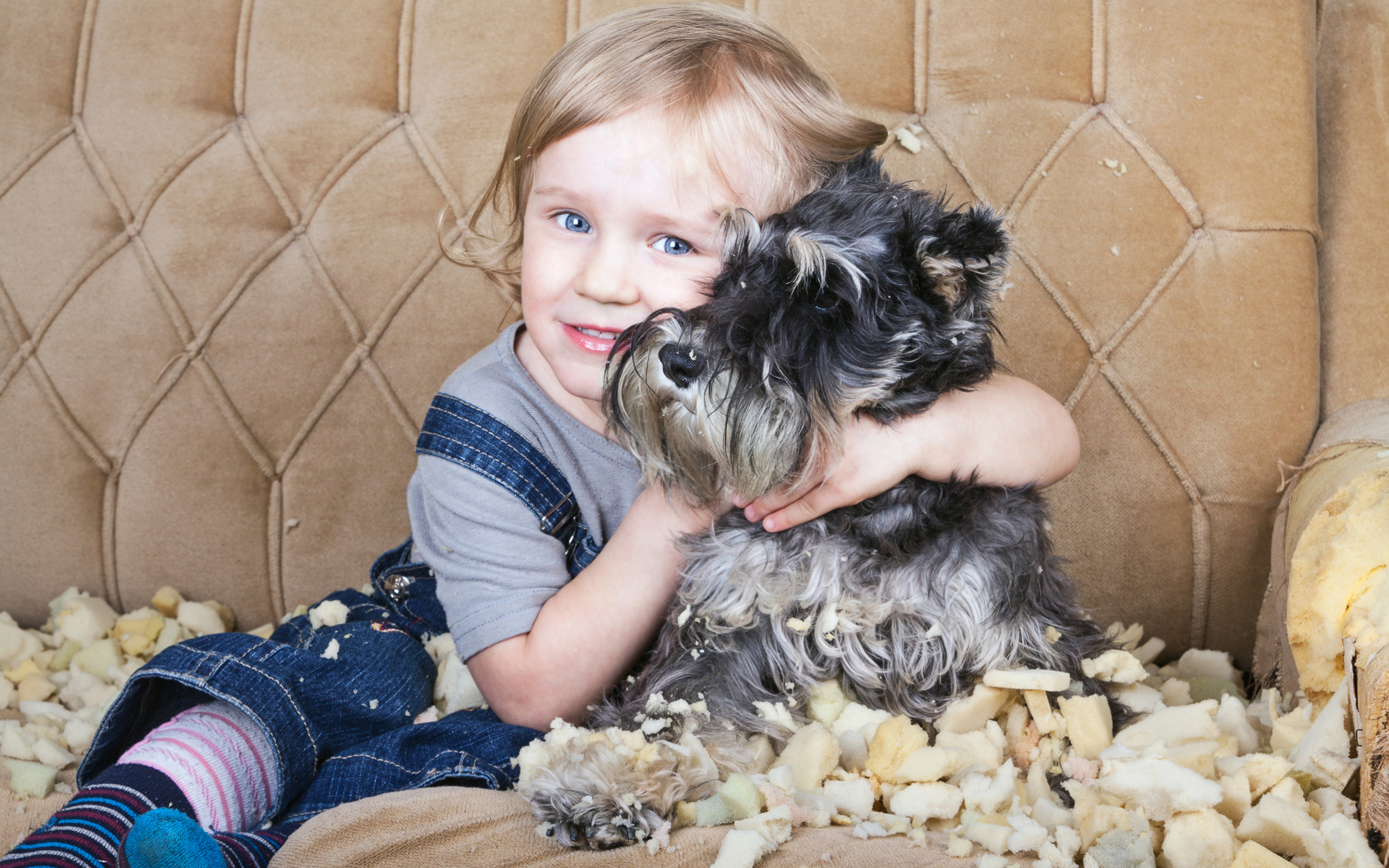 Маленький мальчик сидит на диване с собакой породы Шнауцер
