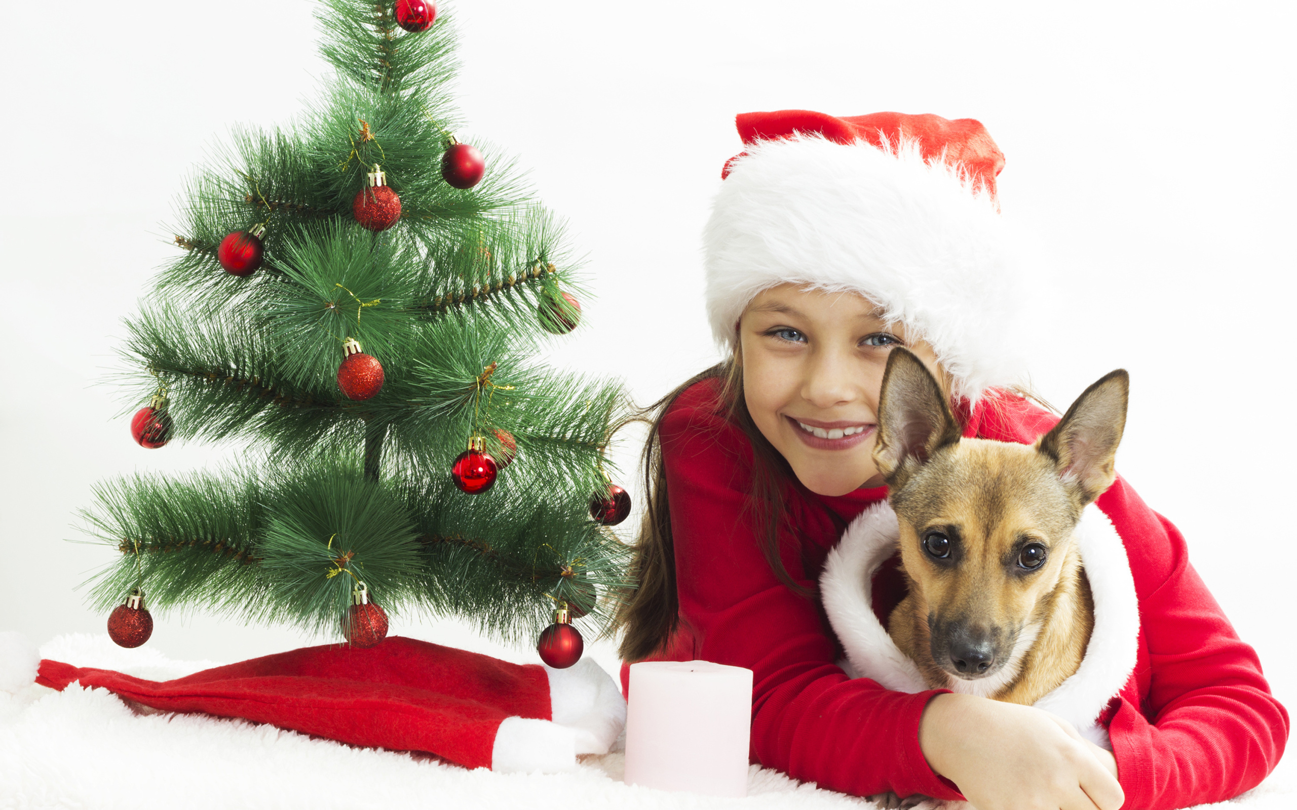 Улыбающаяся девочка с собакой у зеленой елки
