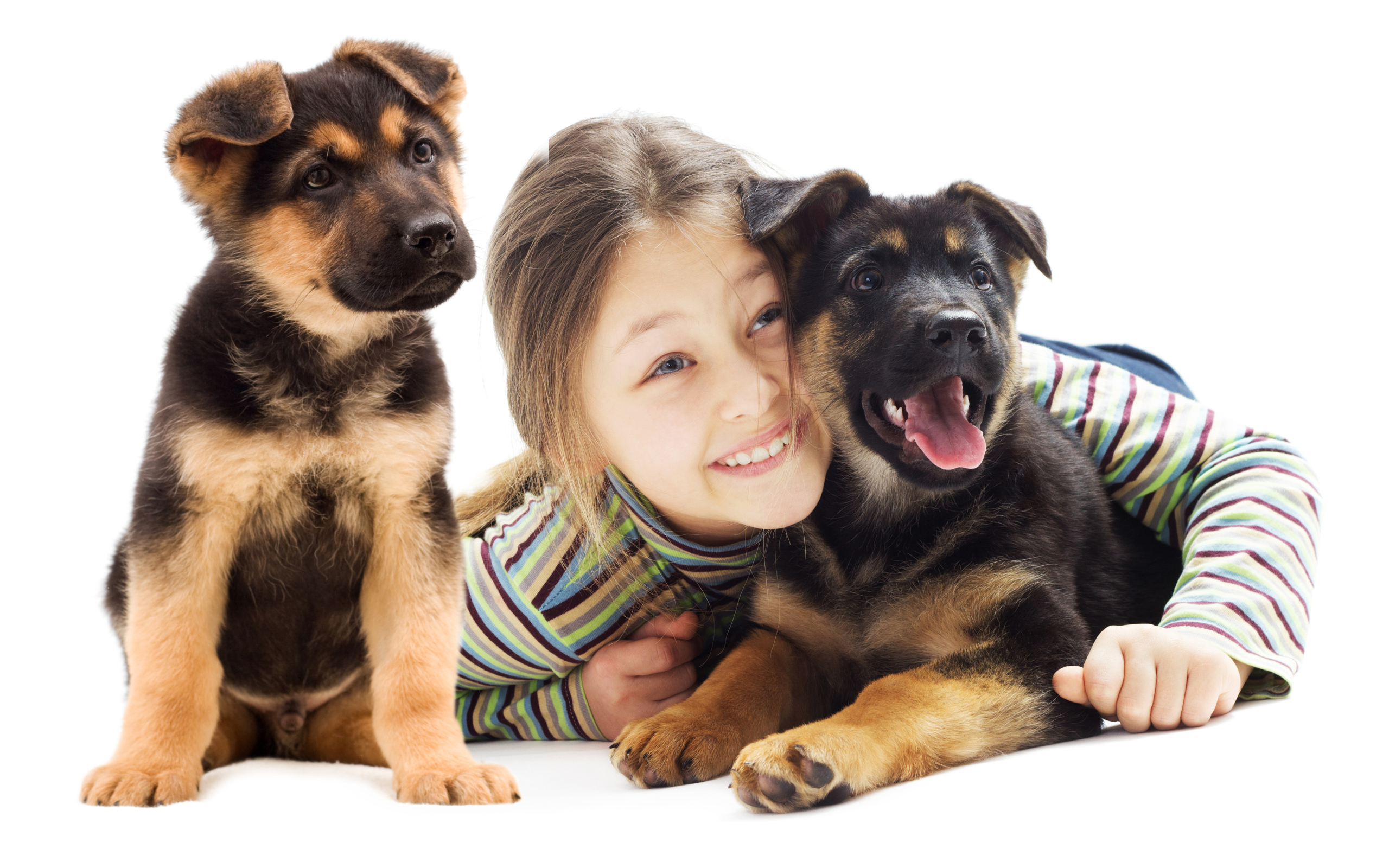 Улыбающаяся девочка с двумя щенками овчарки