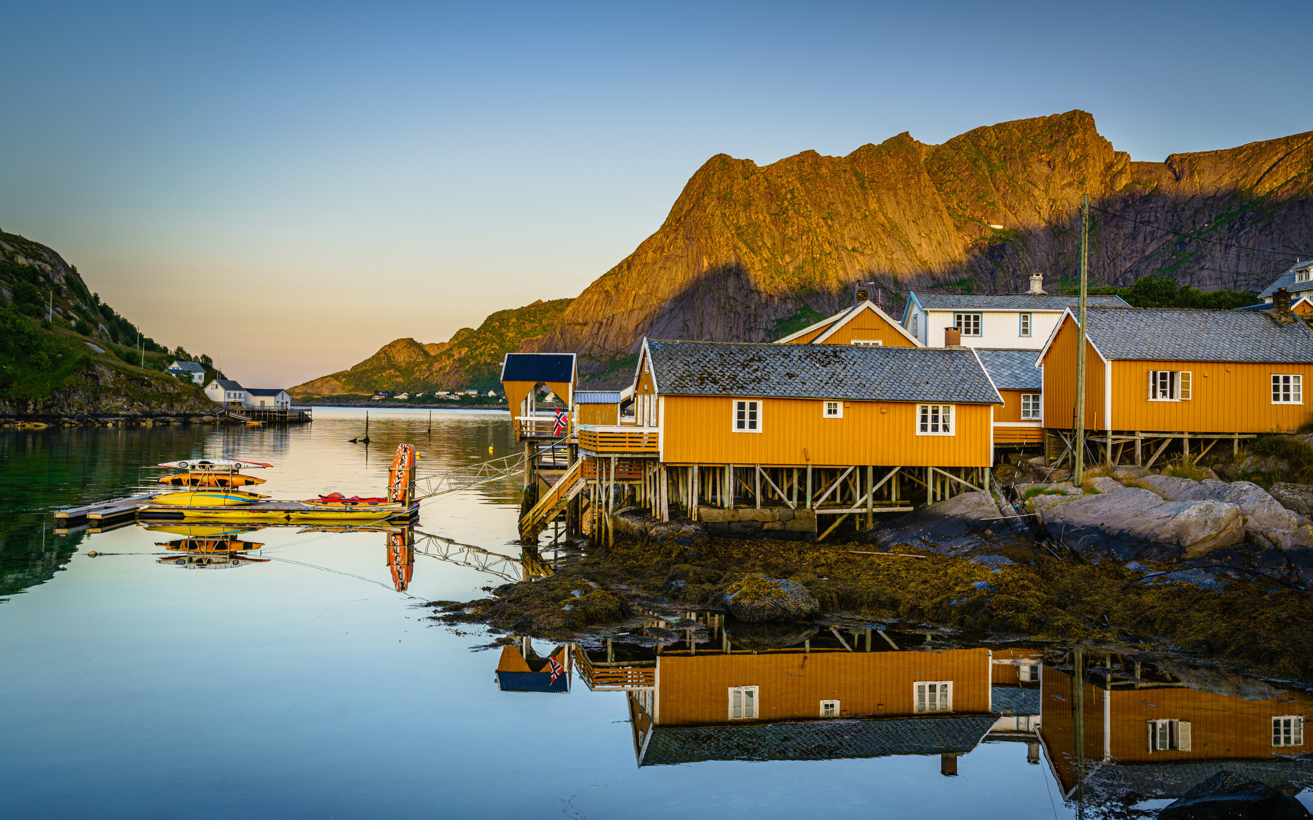 Деревья на сваях на острове Лофотен у гор, Норвегия 
