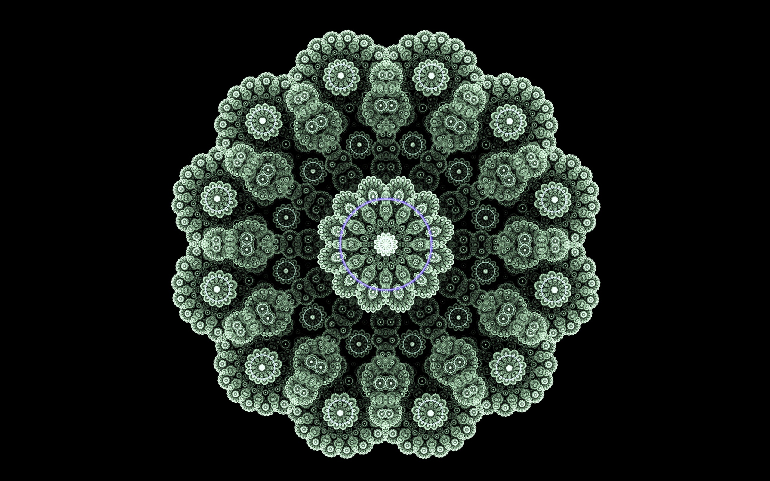 Кружевной зеленый фрактальный цветок на черном фоне