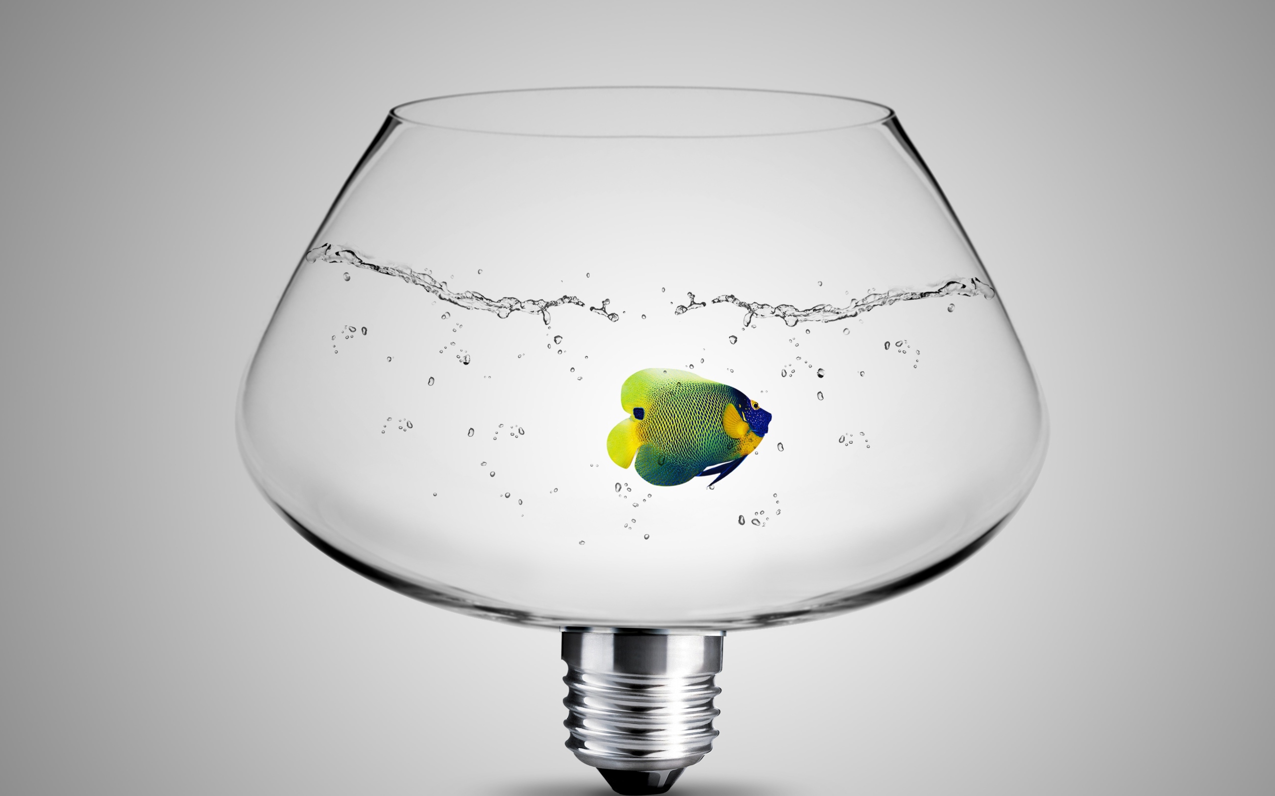 Рыбка в аквариуме лампе на сером фоне