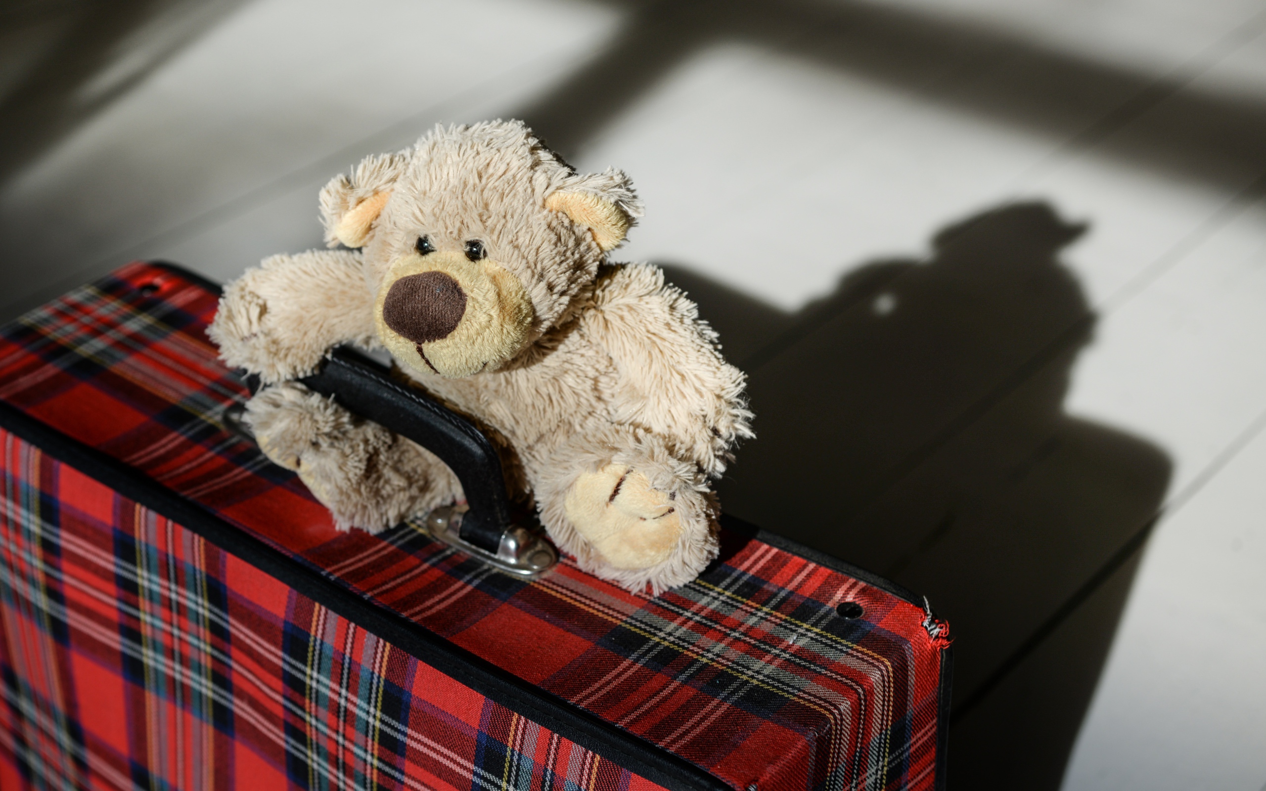 Медвежонок Тедди с большим чемоданом 