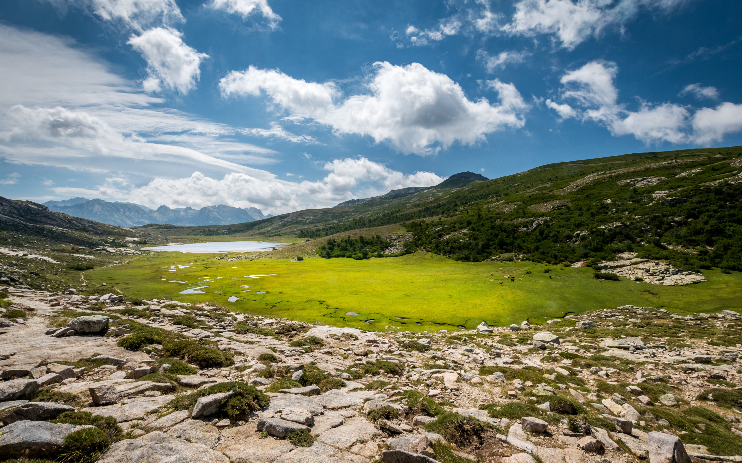 Красивое небо над зеленым лугом в горах 