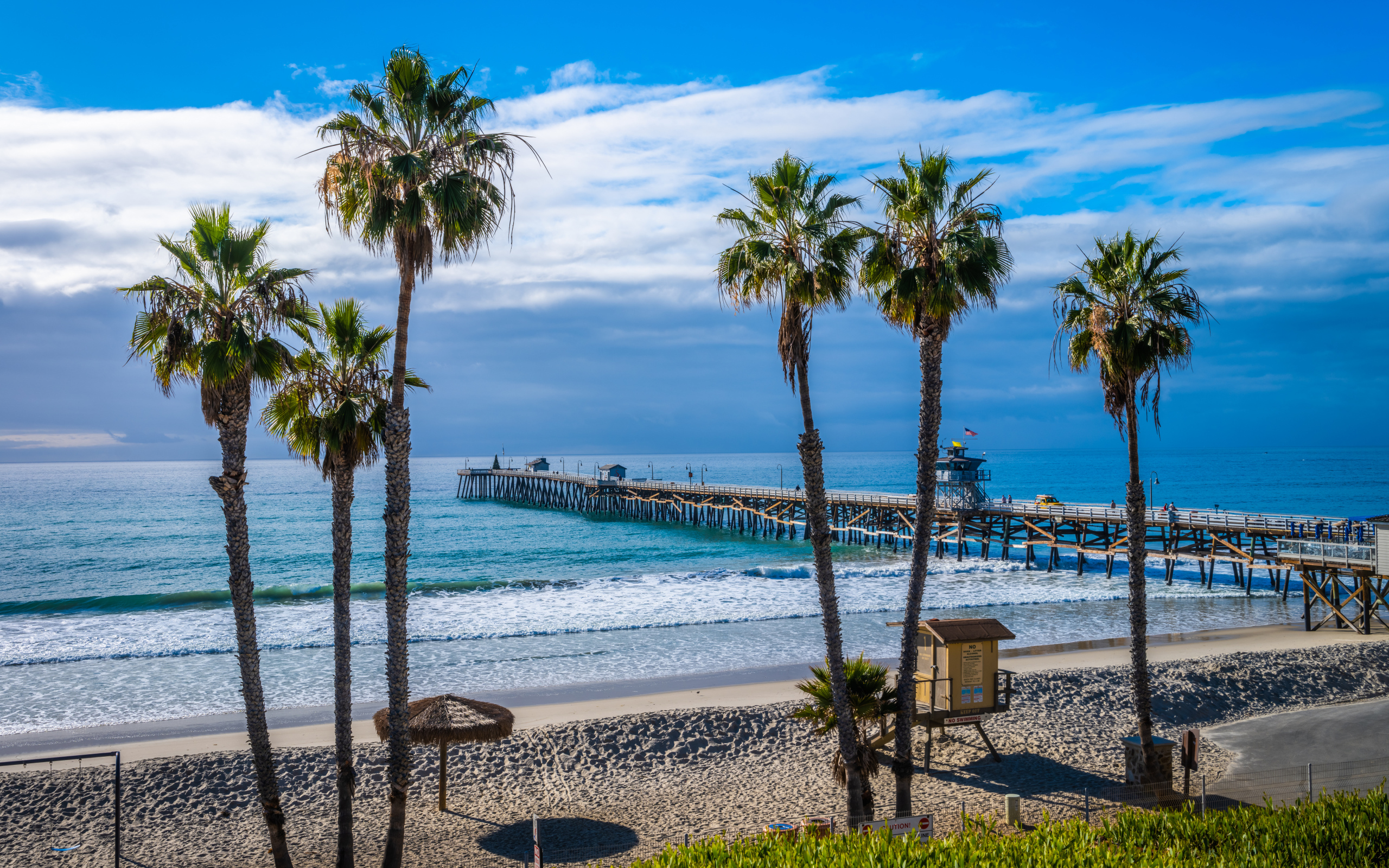 Высокие пальмы на берегу океана у моста 