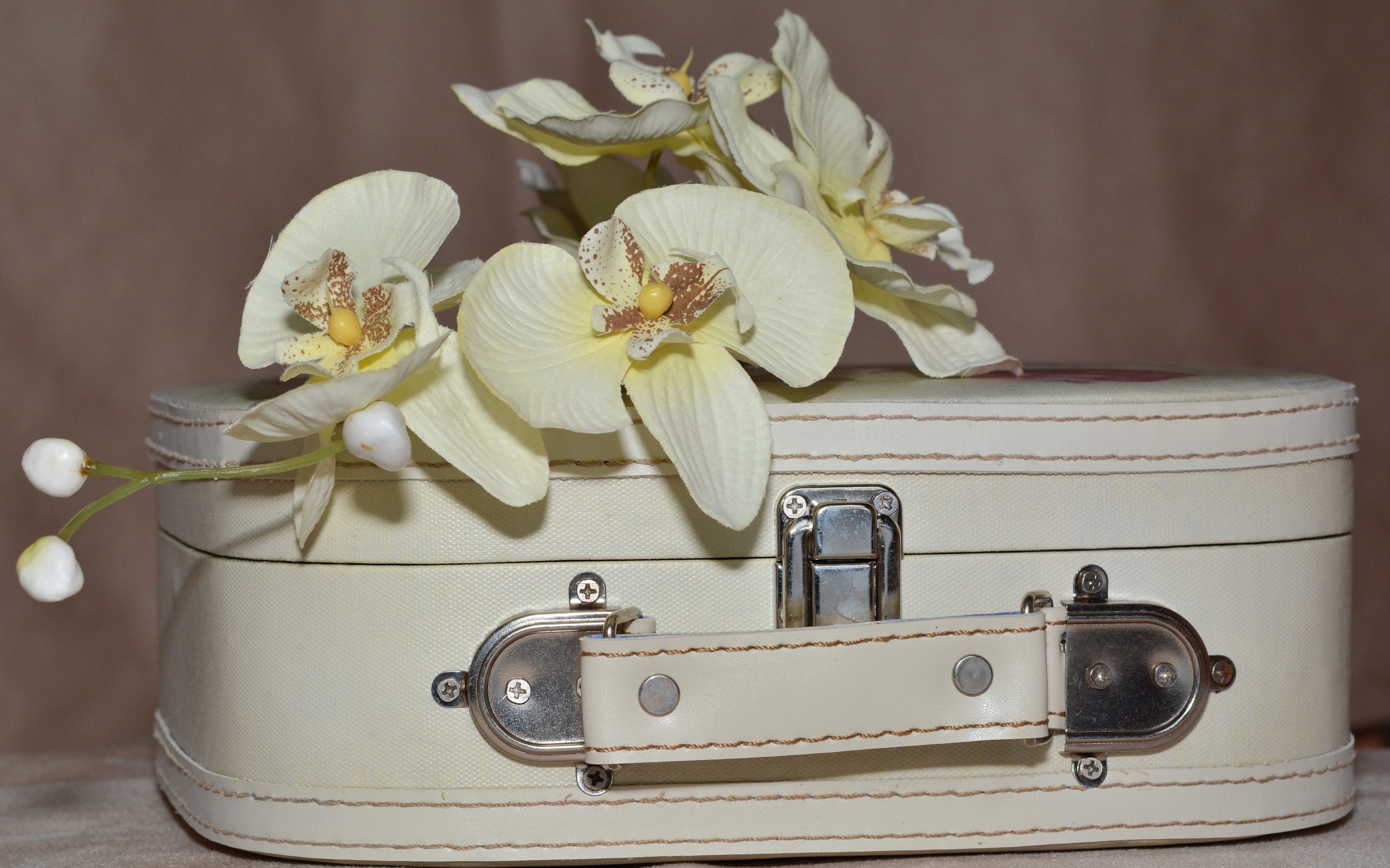 A branch of orchid flowers lies on a white suitcase
