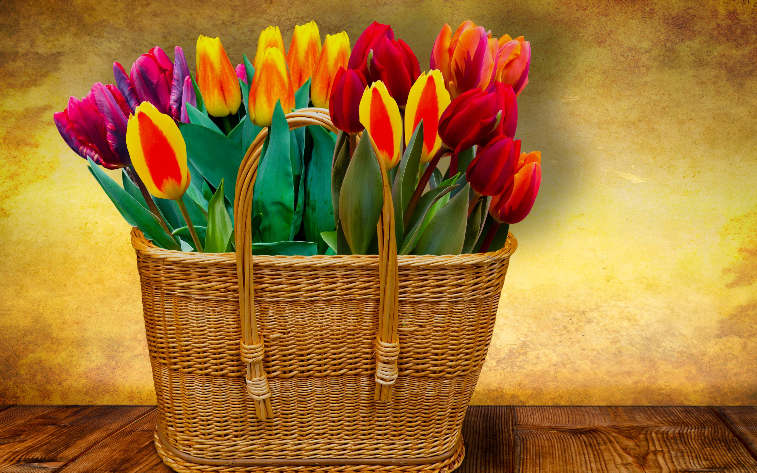 Красивый букет тюльпанов в корзине на фоне стены