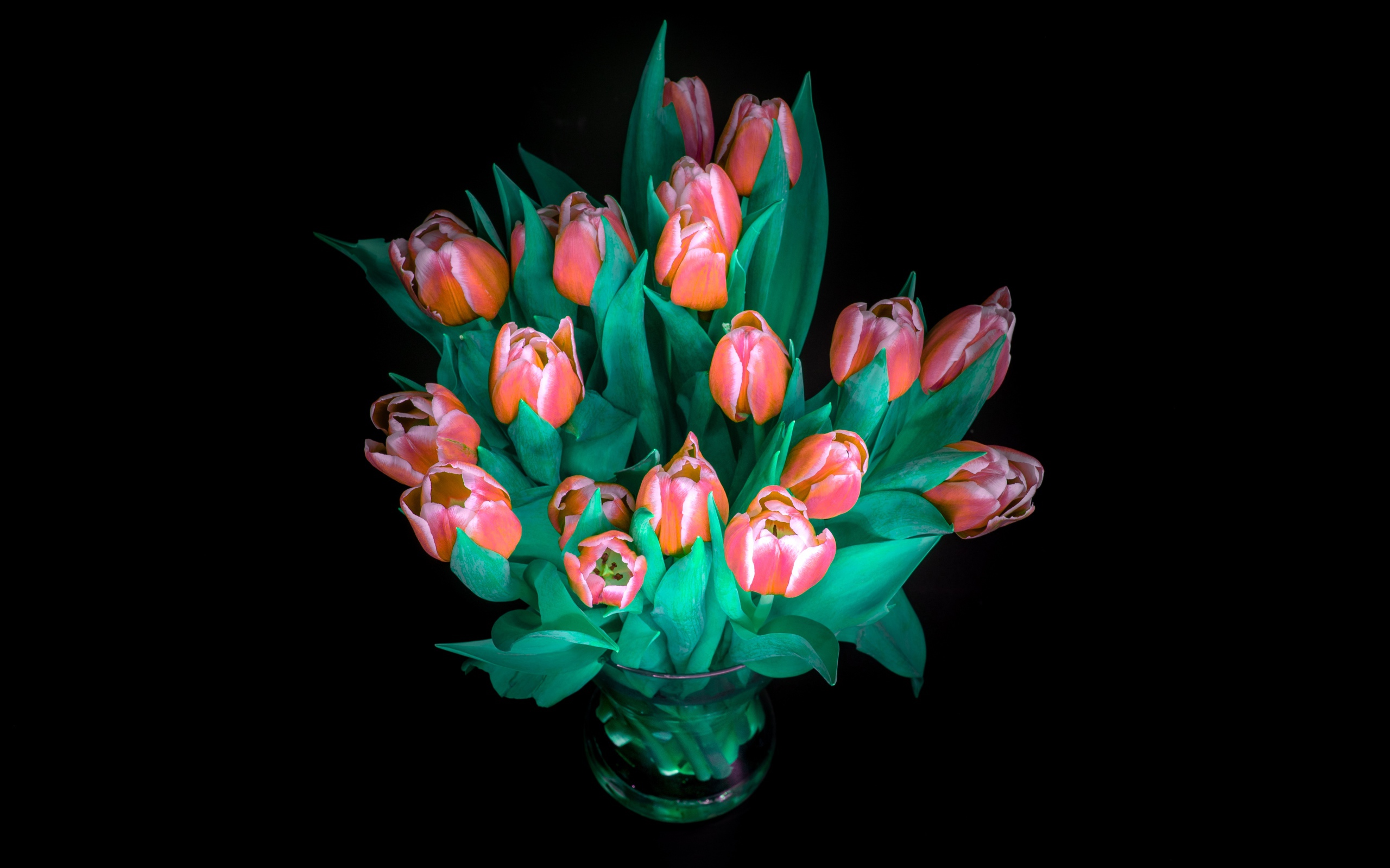 Красивый букет тюльпанов в вазе на черном фоне