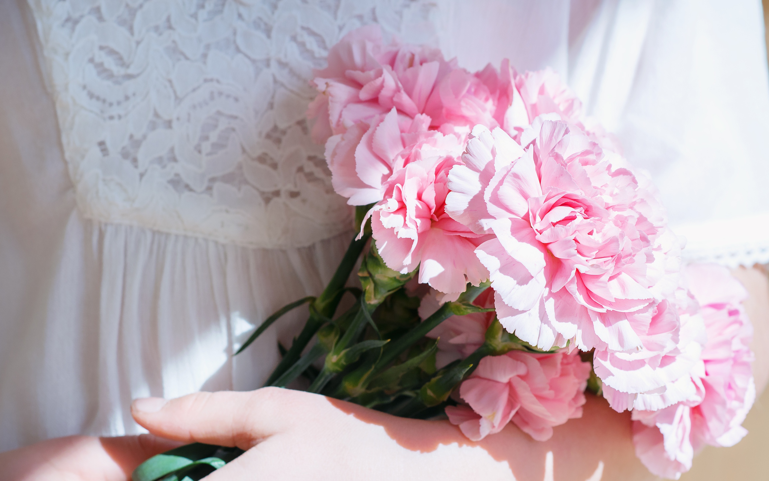 Букет розовых цветов гвоздики в руках у невесты