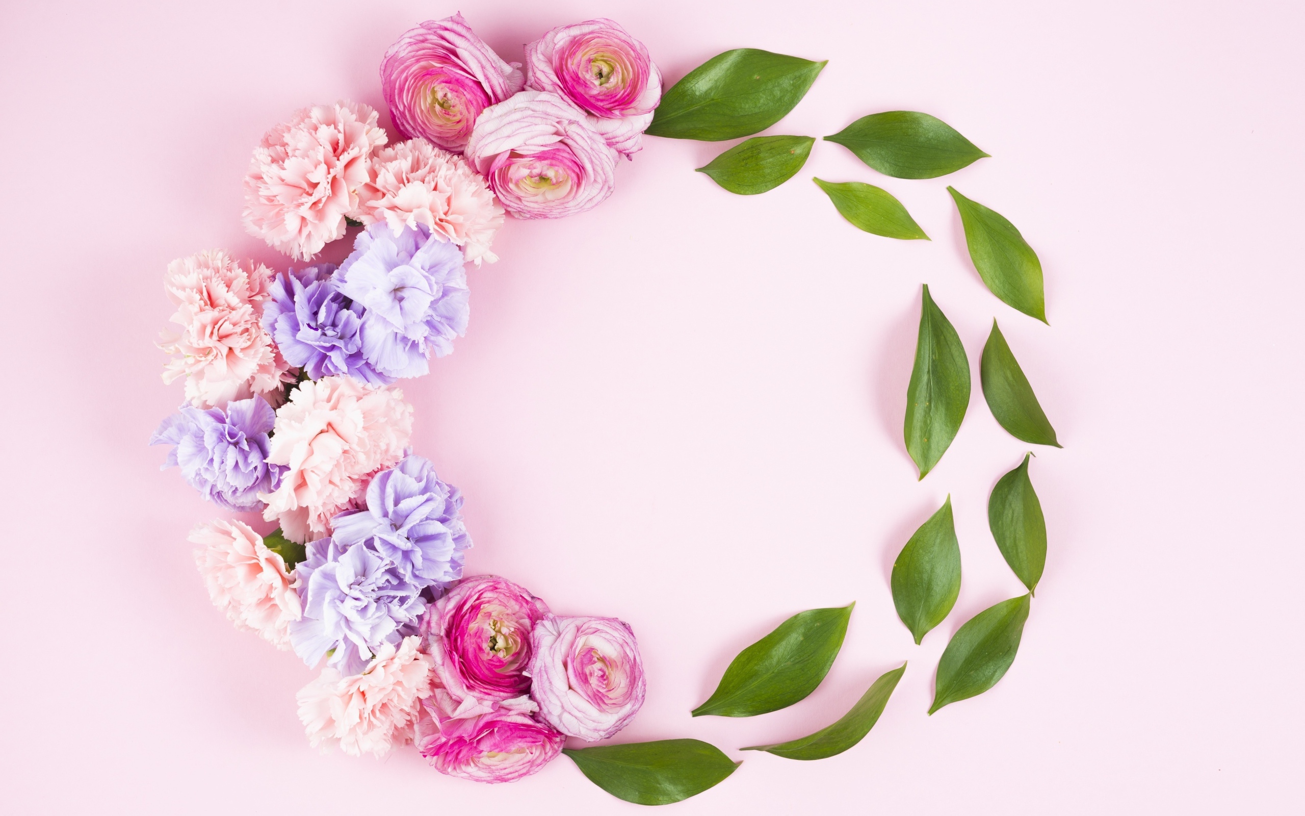 Гвоздики с лютиками и зелеными листьями на розовом фоне