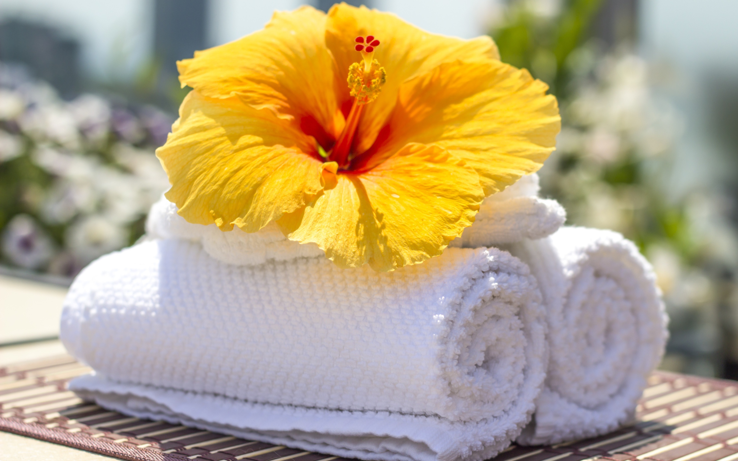 Большой цветок гибискуса с белыми полотенцами