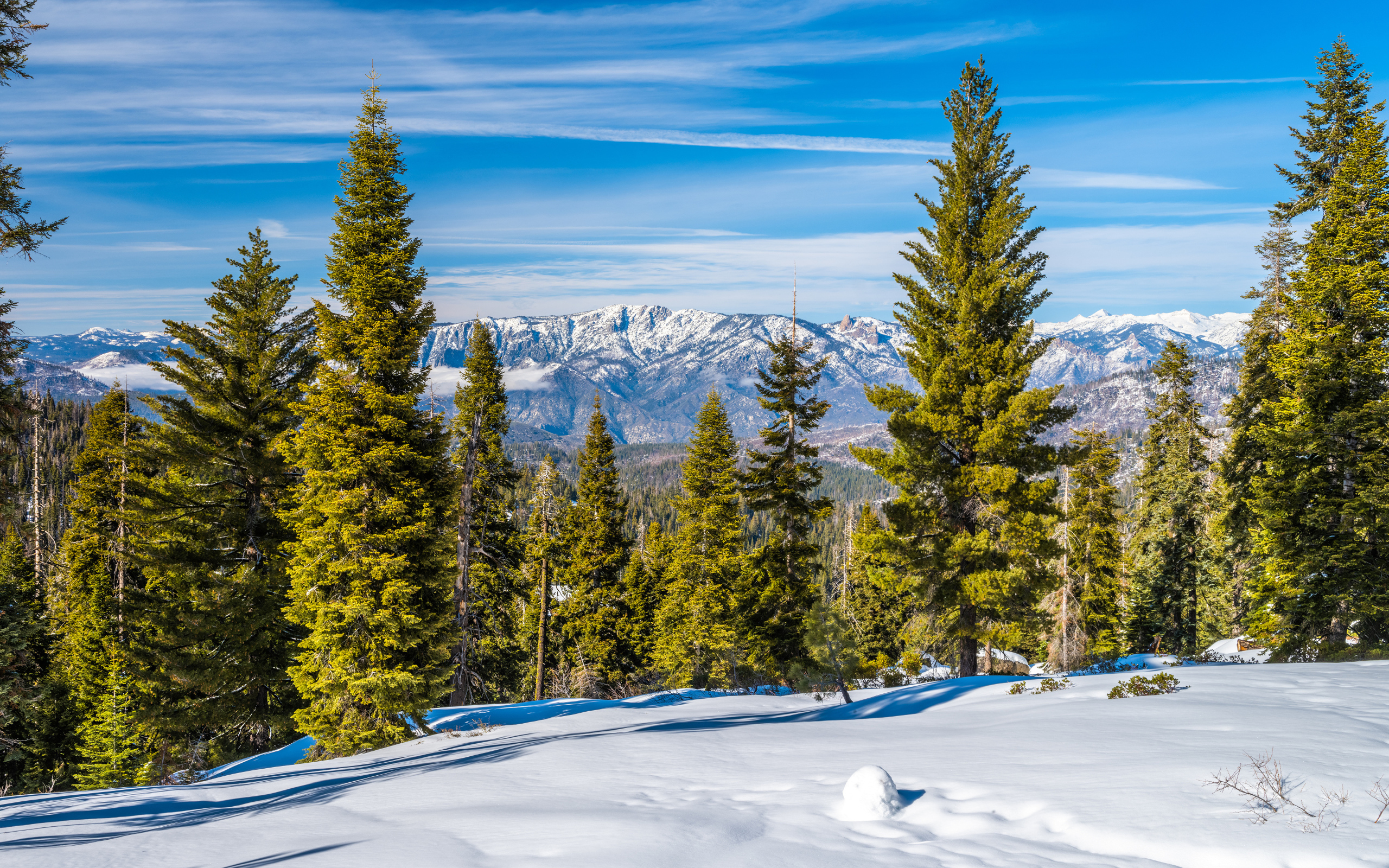 Красивый зимний вид на горы и зеленые ели под голубым небом