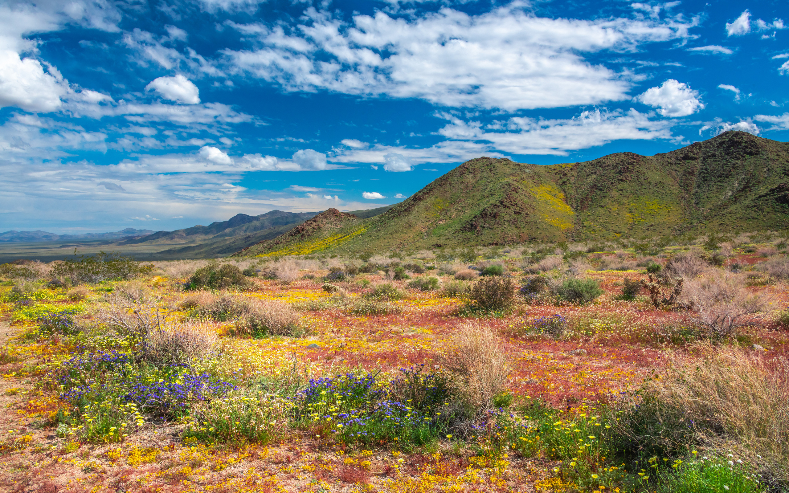 Высокие горы в национальном парке под голубым небом