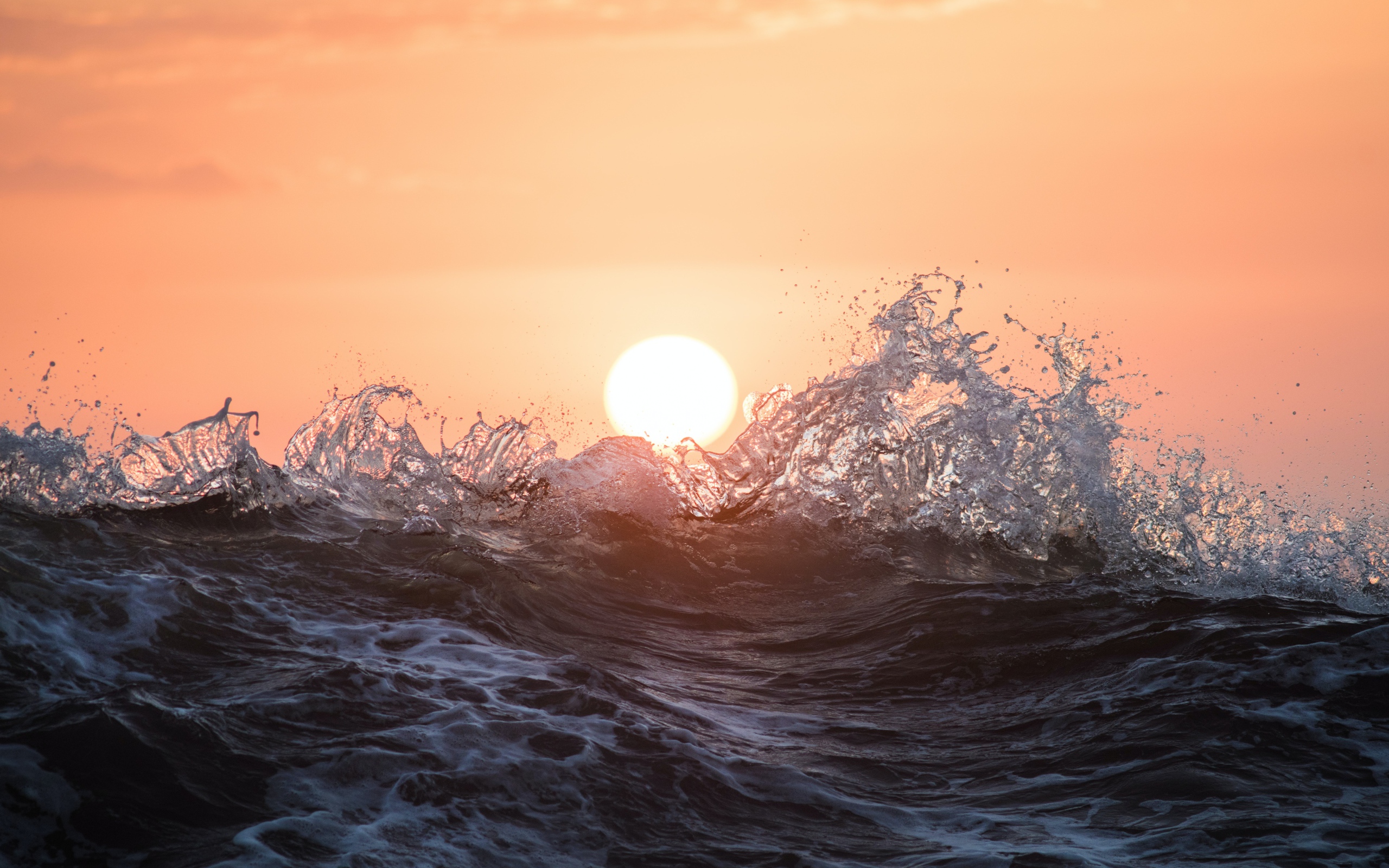 Морские волны в лучах солнца