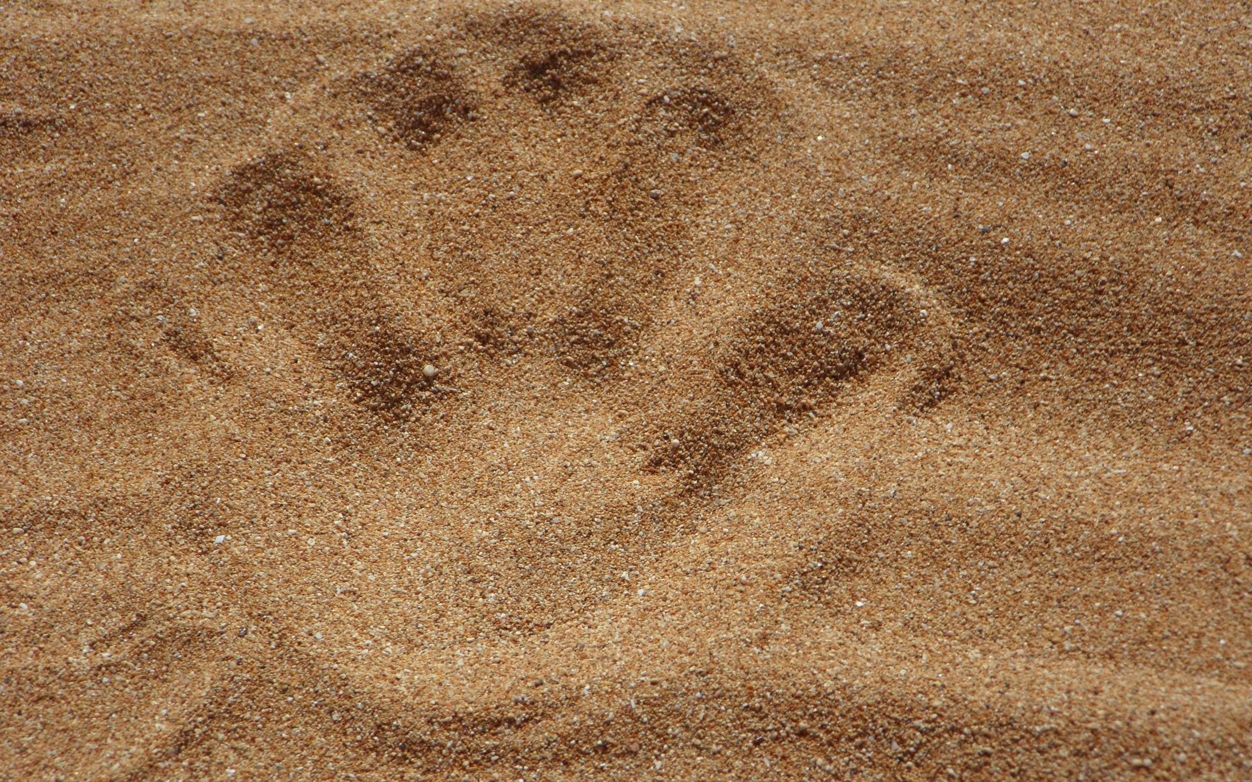 Отпечаток ладони на песке 