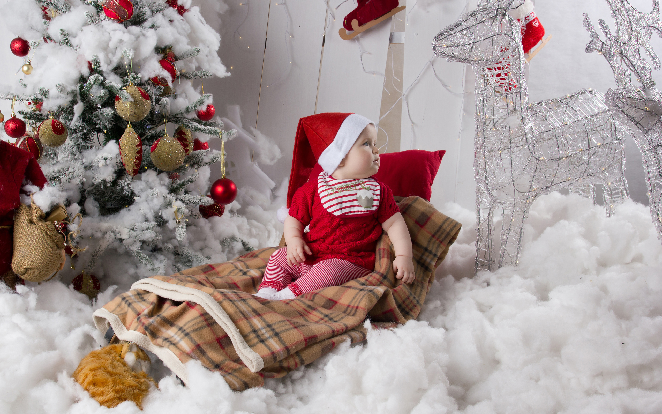 Маленький ребенок в санках возле наряженной ели